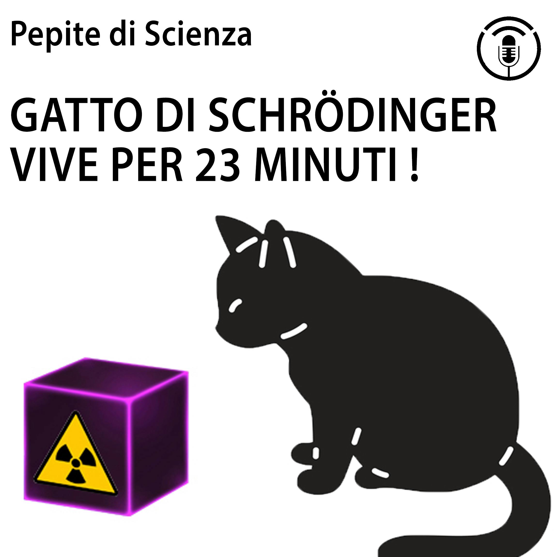 Record: Gatto di Schrödinger sopravvive per ben 23 minuti! Record: Gatto di Schrödinger sopravvive per ben 23 minuti!