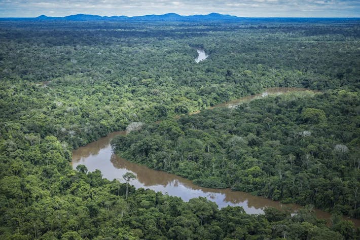 Amazônia perdeu 52 milhões de hectares de vegetação nativa em quatro décadas, aponta levantamento Amazônia perdeu 52 milhões de hectares de vegetação nativa em quatro décadas, aponta levantamento