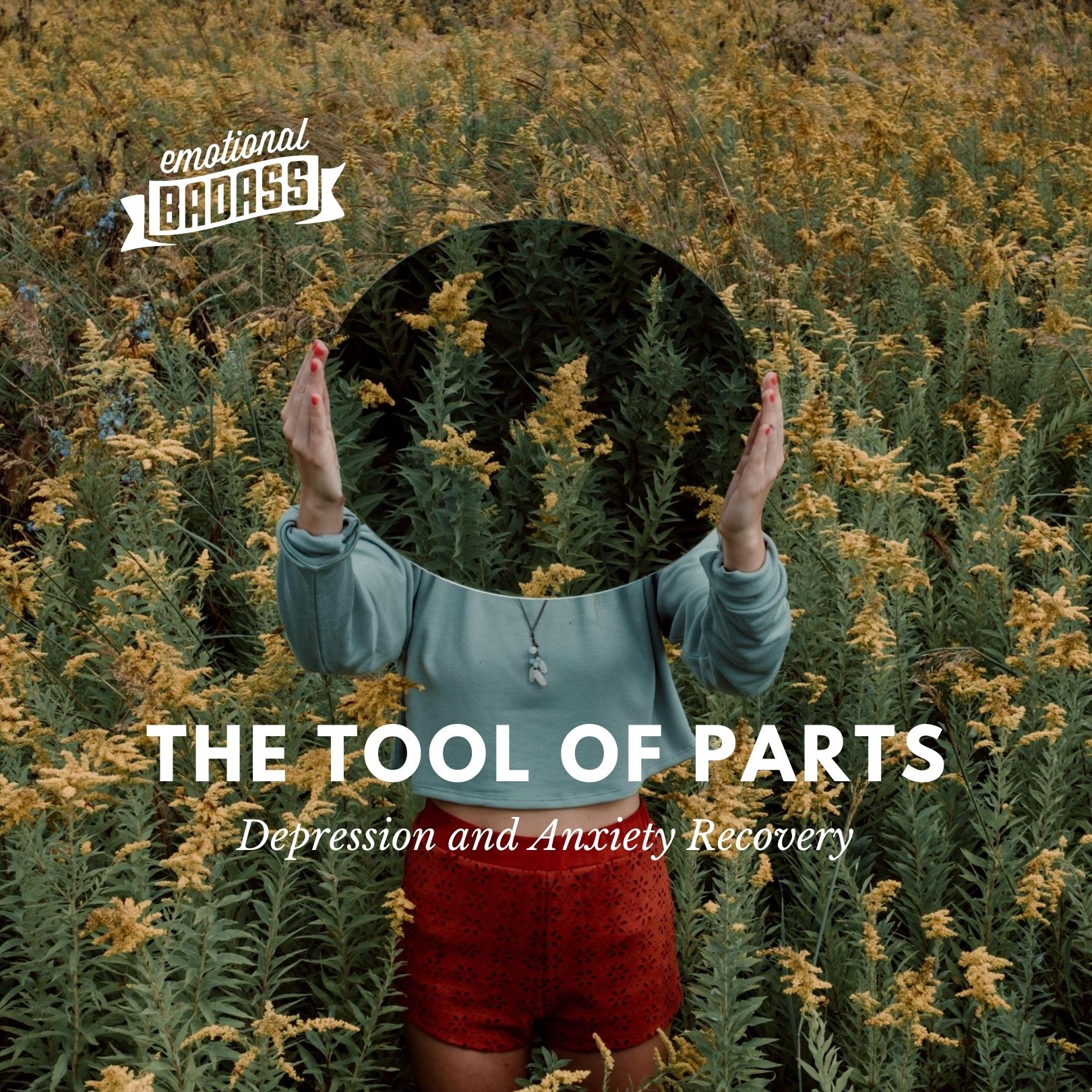 How to Use The tool of PARTS for depression & anxiety recovery, improved communication, & inner self talk: Create a Positive Emotional Diet for Better Mental Health