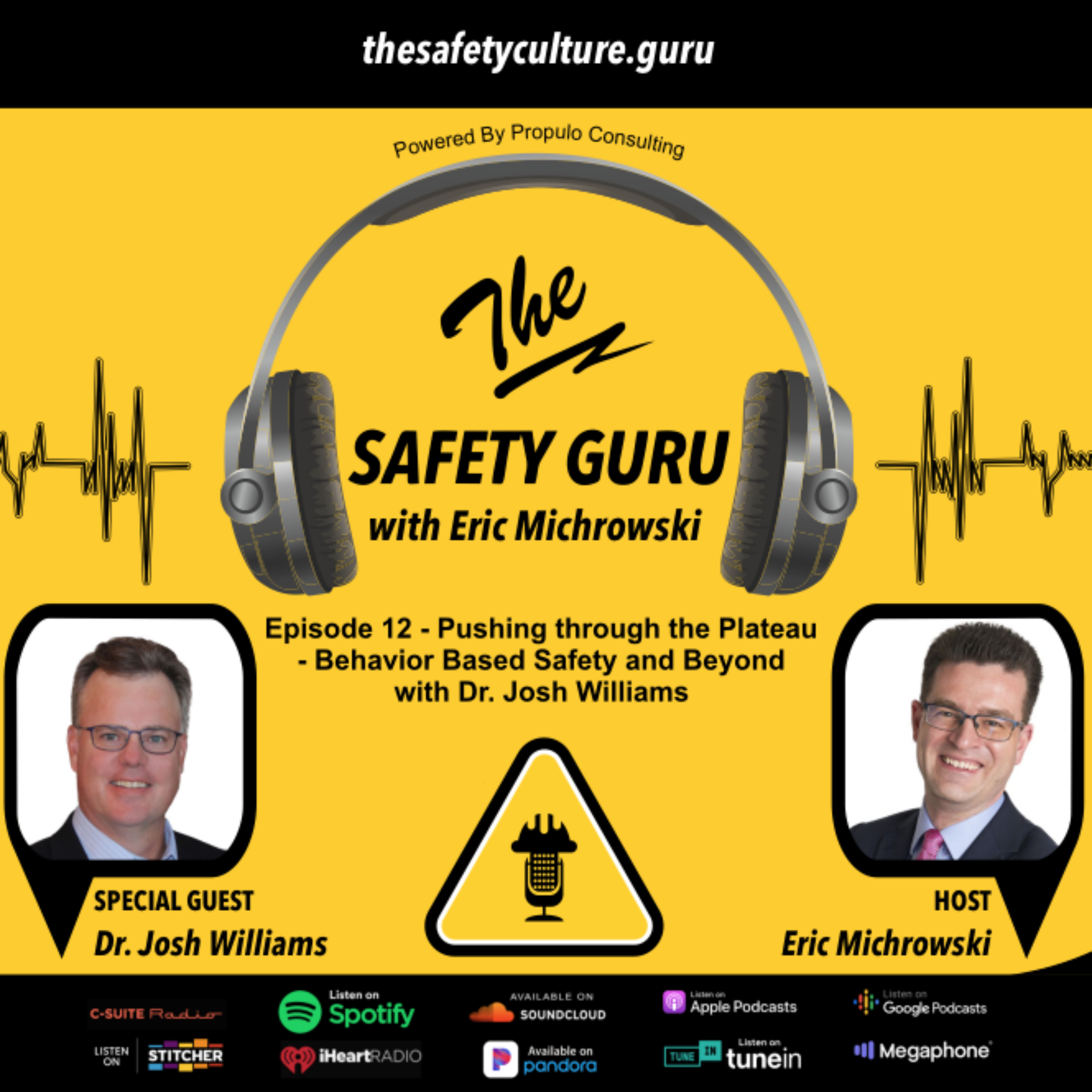The Safety Guru