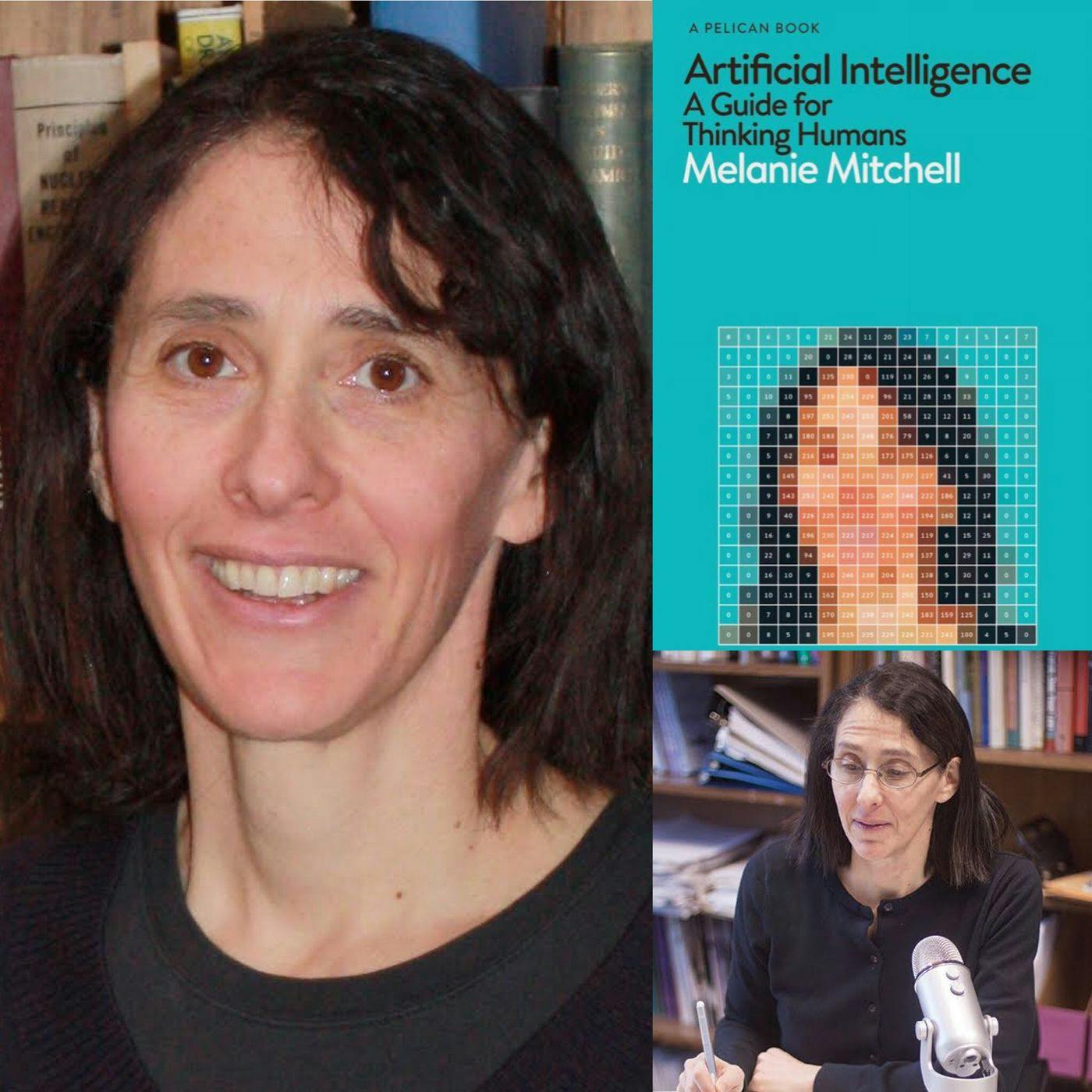 Artificial Intelligence Researcher Melanie Mitchell