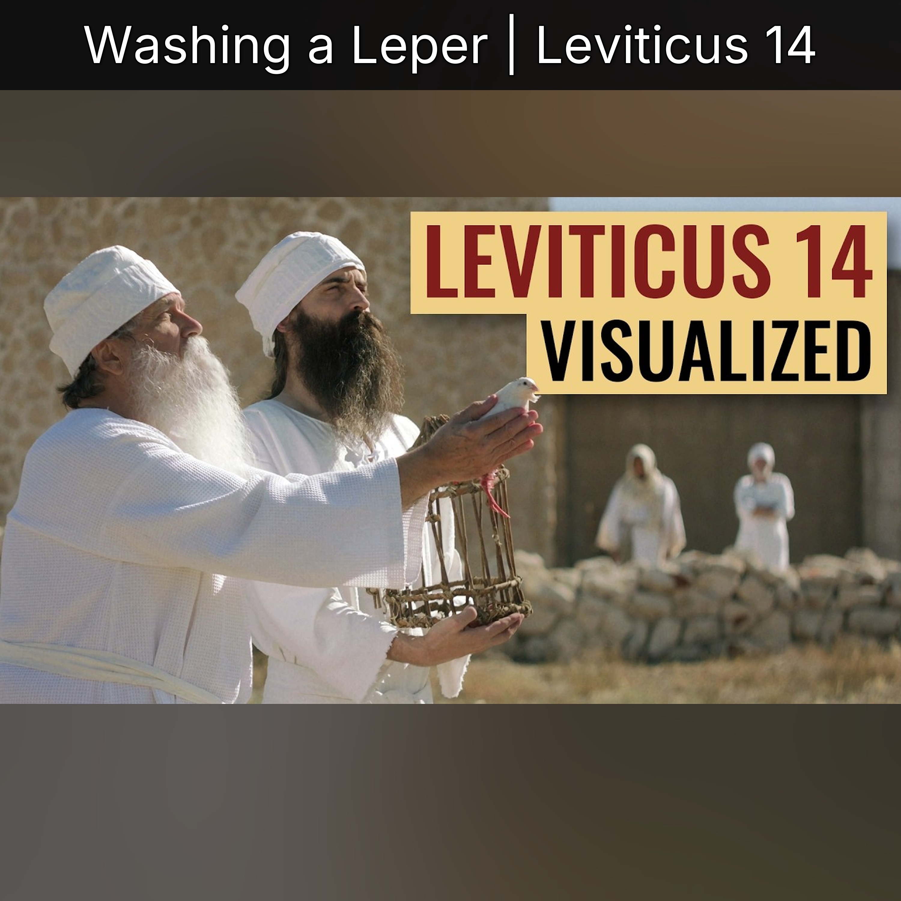 Washing a Leper | Leviticus 14 episode artwork