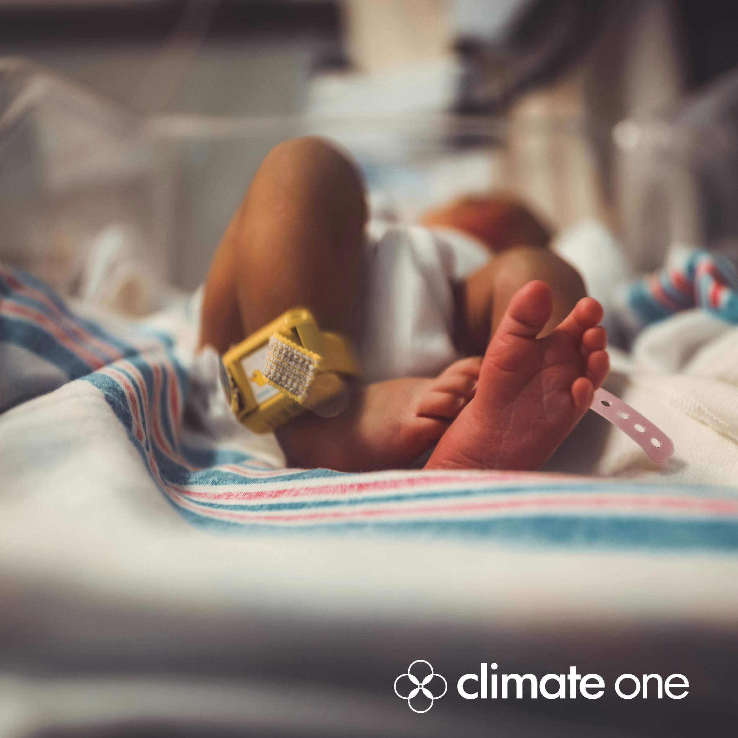 REWIND: Should We Have Children in a Climate Emergency?
