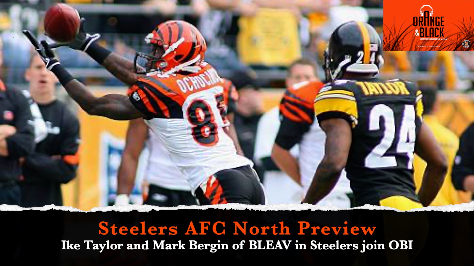 Cincy Jungle: for Cincinnati Bengals fans