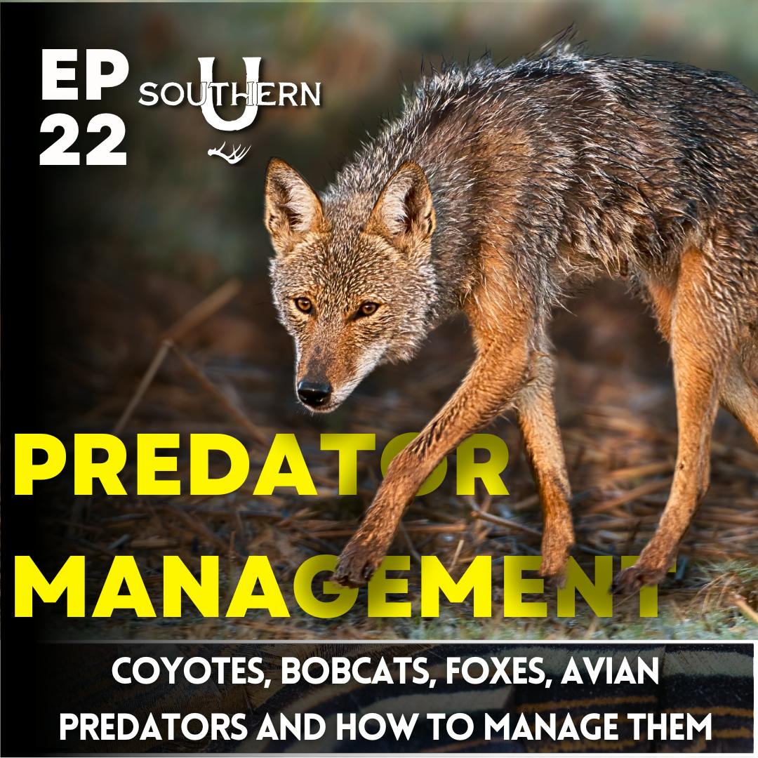 Predator Management Predator Management