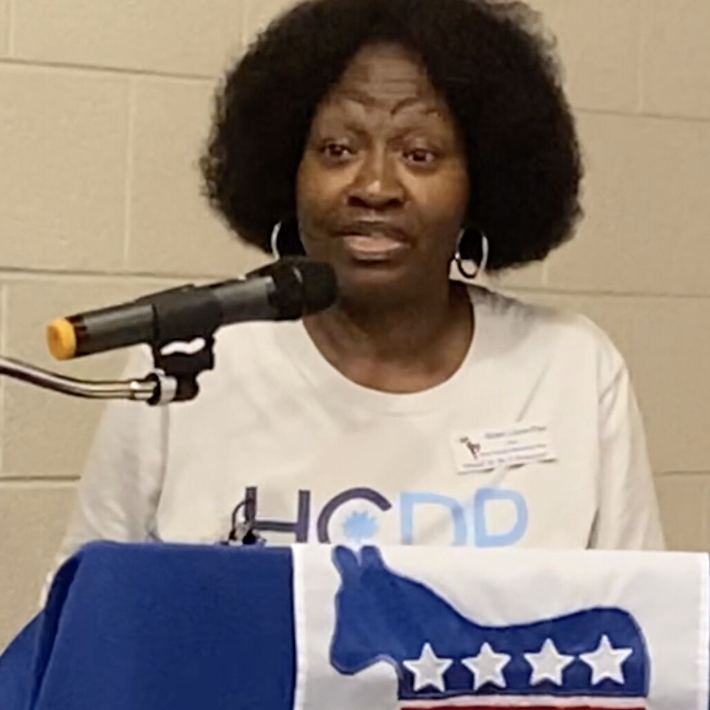 The Lean to the Left Podcast