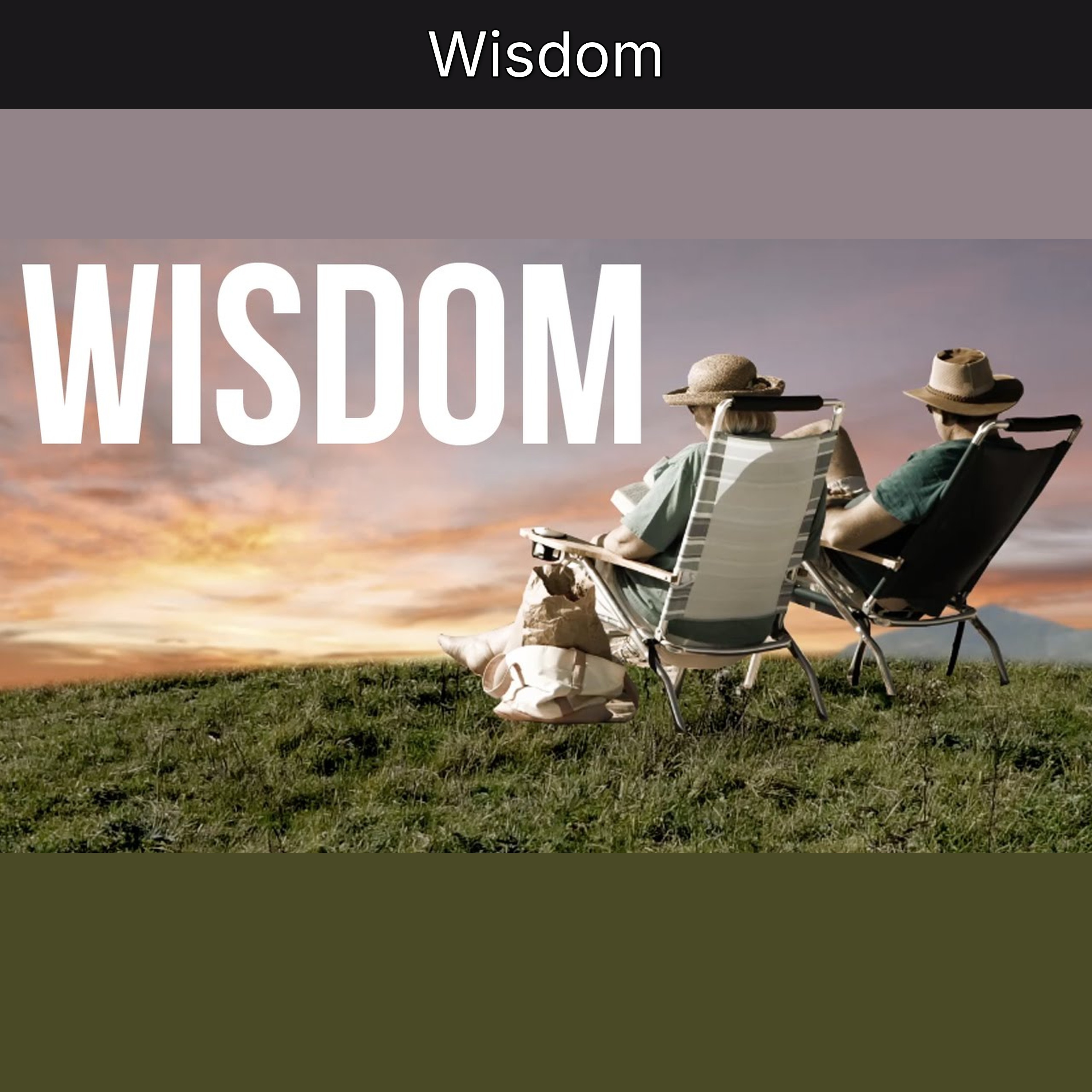 Wisdom