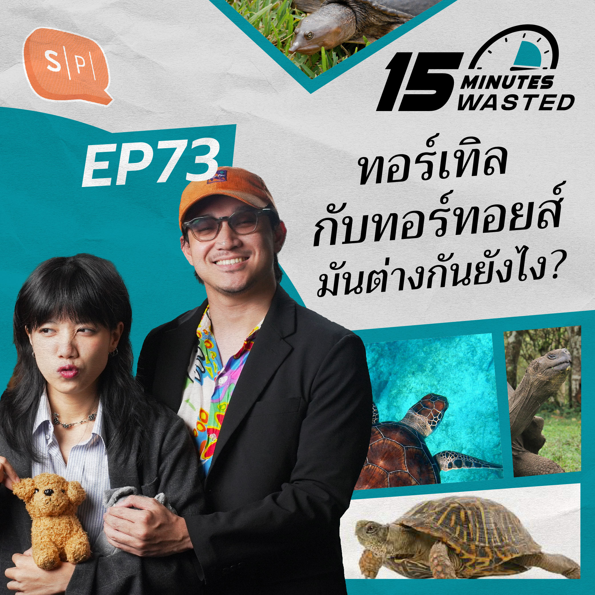 เทอร์เทิลกับทอร์ทอยส์ มันต่างกันยังไง? | 15 Minutes Wasted EP73