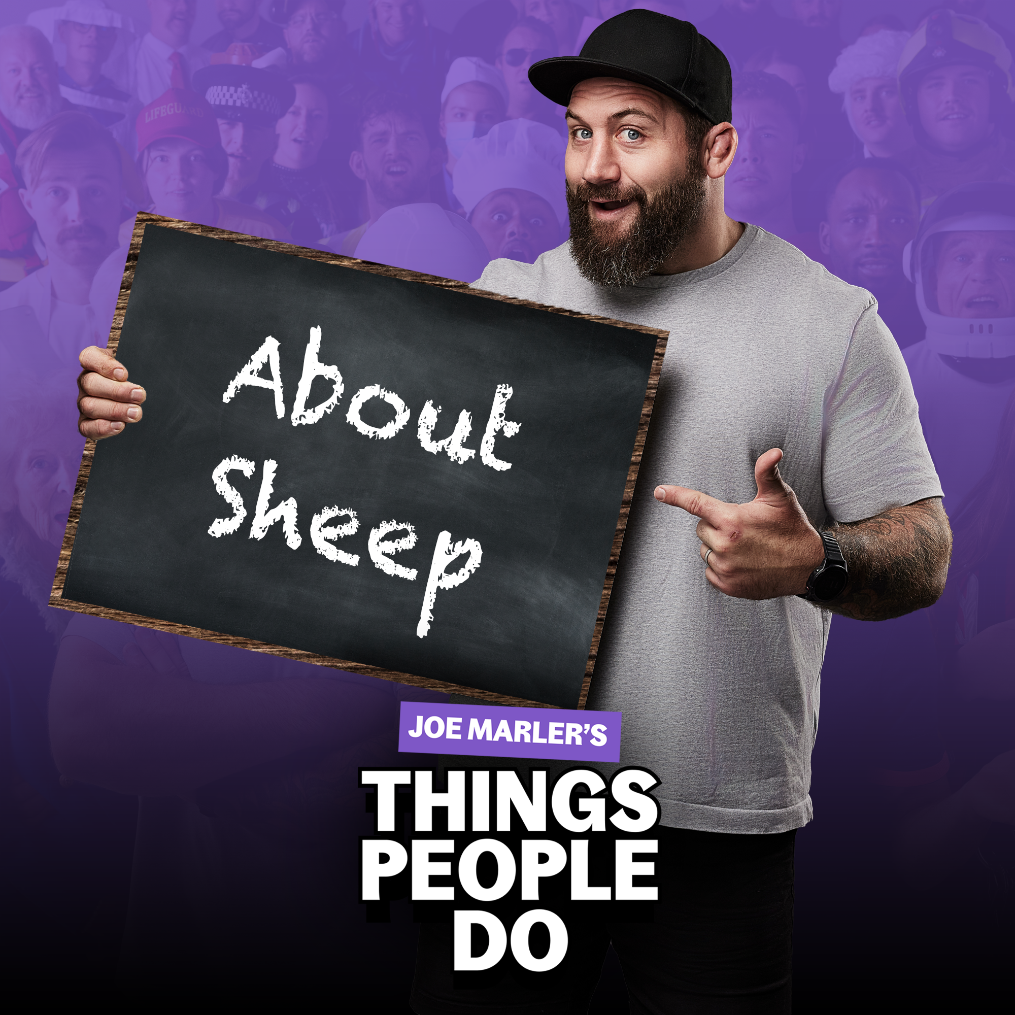 About Sheep: Are they actually more intelligent than we think? episode artwork