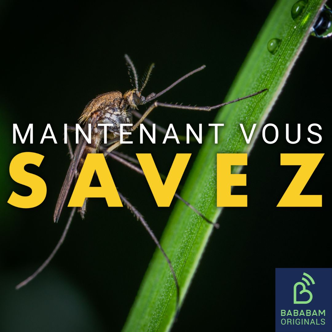 Maintenant, vous savez