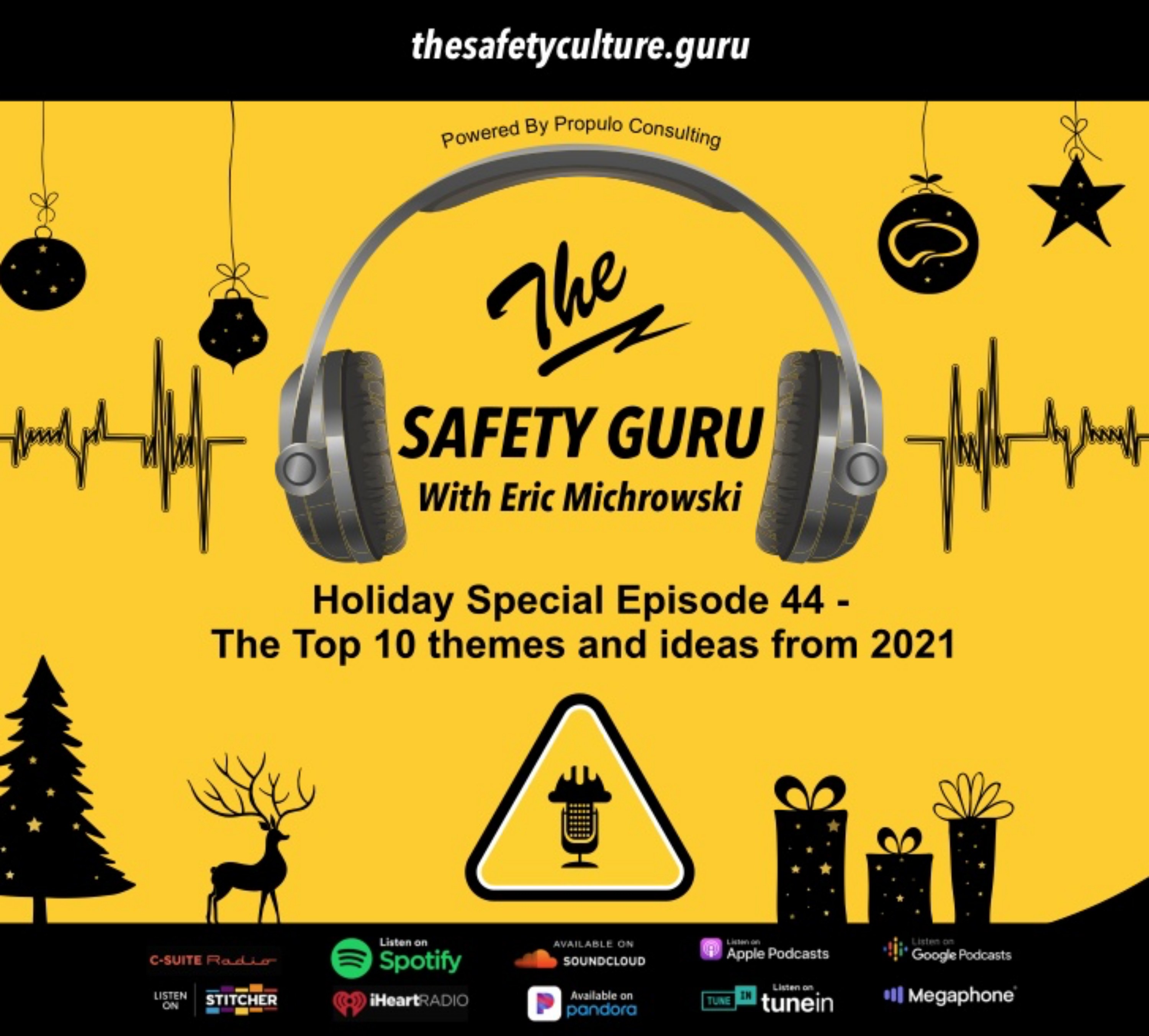 The Safety Guru