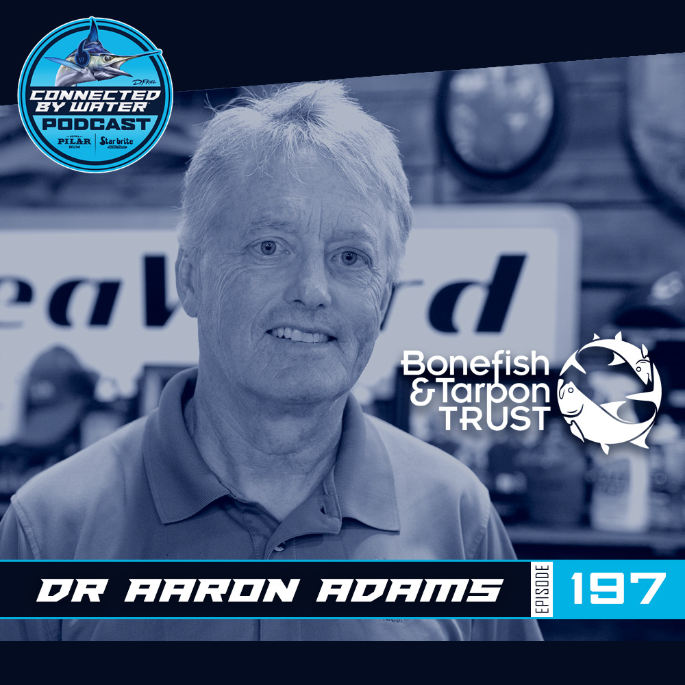 Podcast D.Friel - Connected by Water