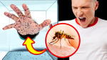 What Would Happen to Your Body If 1000 Mosquitoes Bite You?