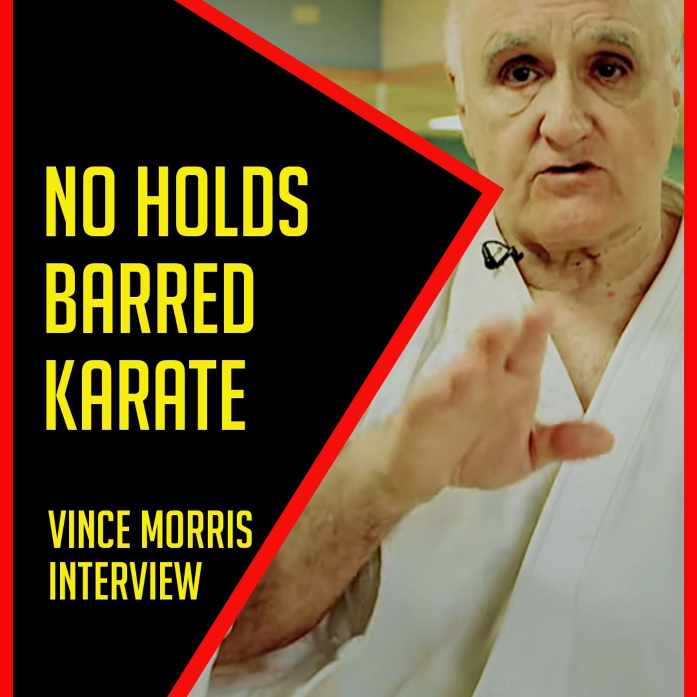 NO HOLDS BARRED KARATE Vince Morris Interview episode artwork