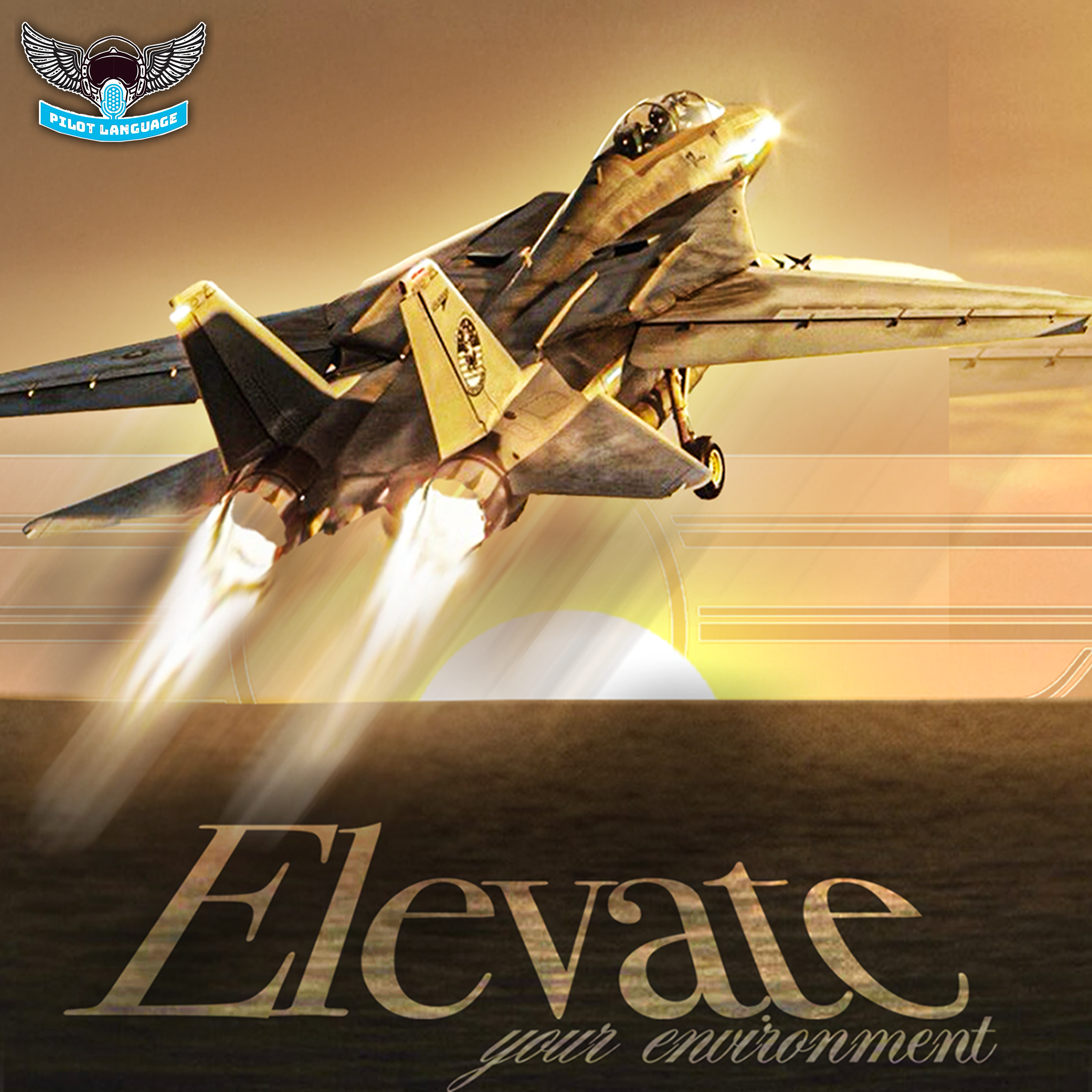 The Silent Partner – Elevate Your Environment By All Means! | Pilot Language Ep. 9 episode artwork