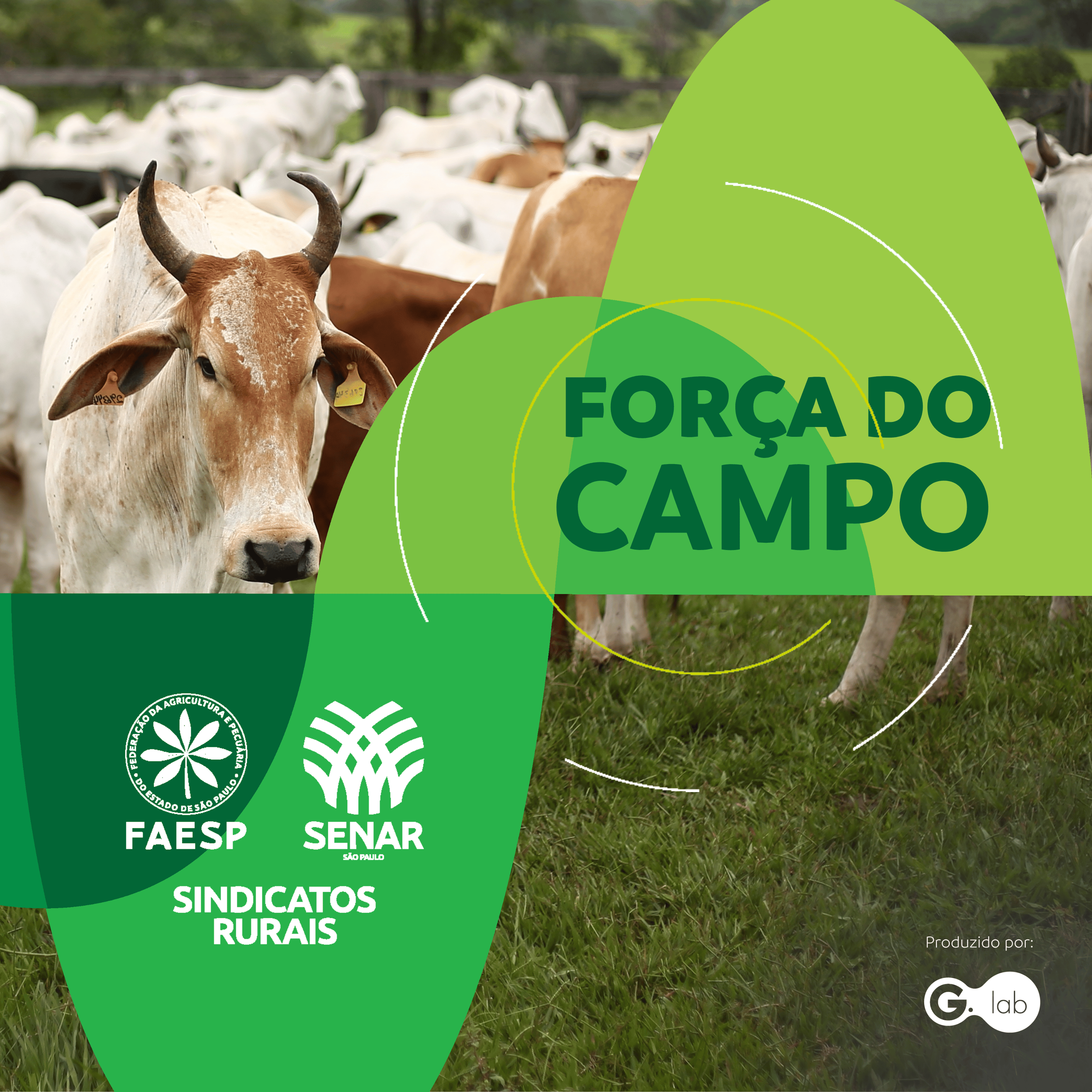 São José do Rio Preto vai ganhar um Centro de Genética Bovina episode artwork