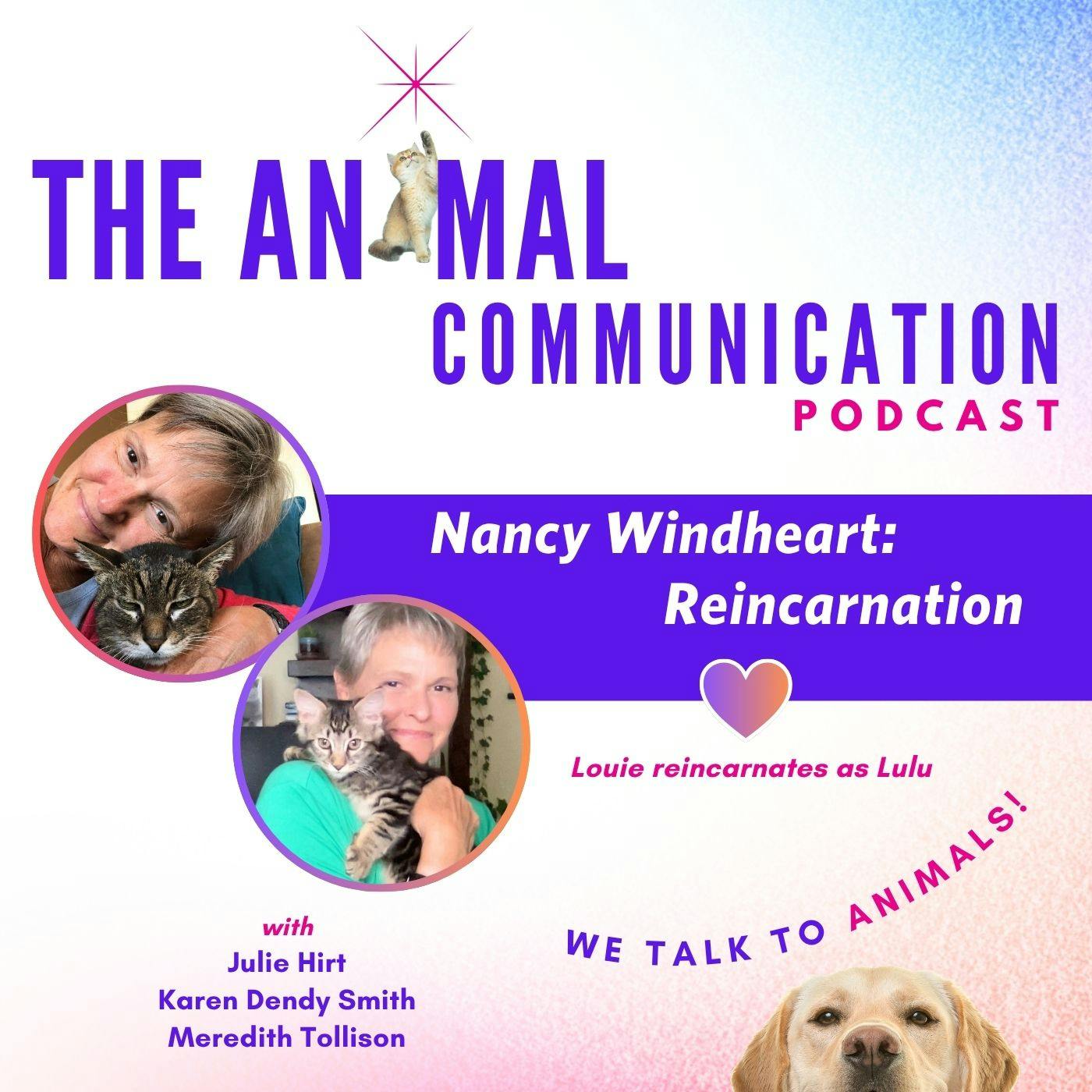 Animal Reincarnation with Nancy Windheart Animal Reincarnation with Nancy Windheart