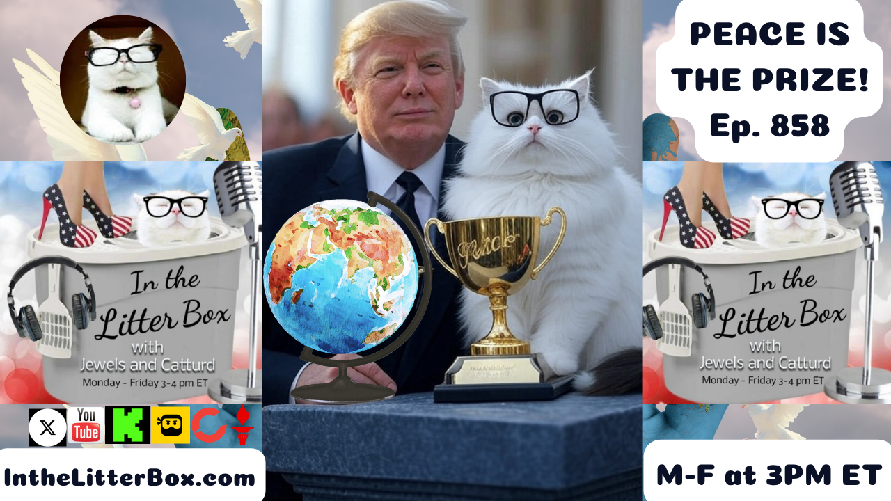 PEACE IS THE PRIZE! | In the Litter Box w/ Jewels & Catturd – Ep. 858 – 8/7/2025