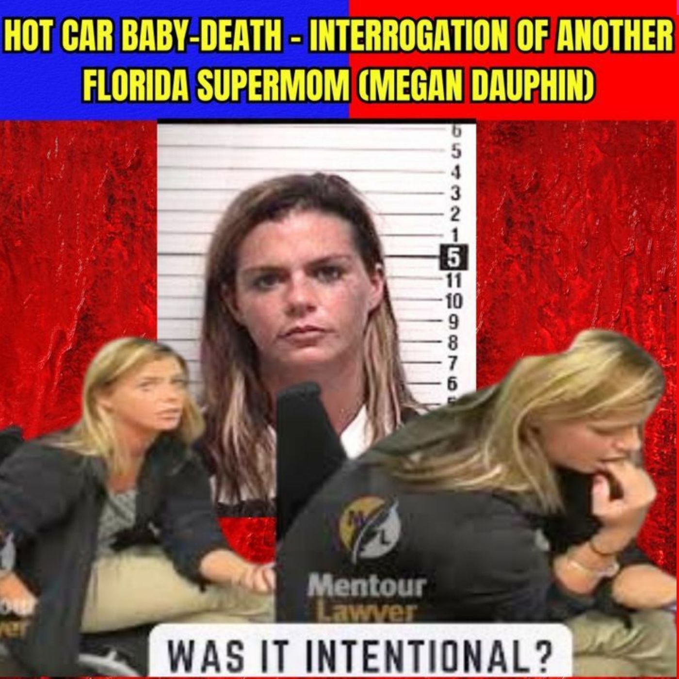 Hot Car Baby-Death - Interrogation of Another Florida Super Mom (Megan Dauphin) episode artwork