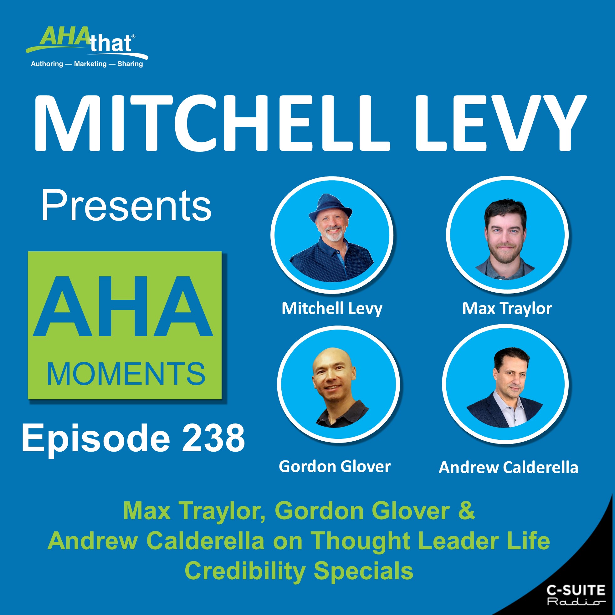 Mitchell Levy Presents AHA Moments