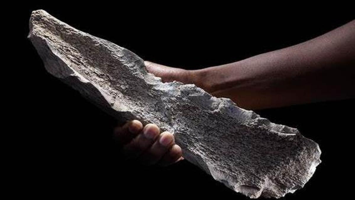 Hallan herramientas hechas de hueso un millón de años antes de lo que se se creía oficialmente.