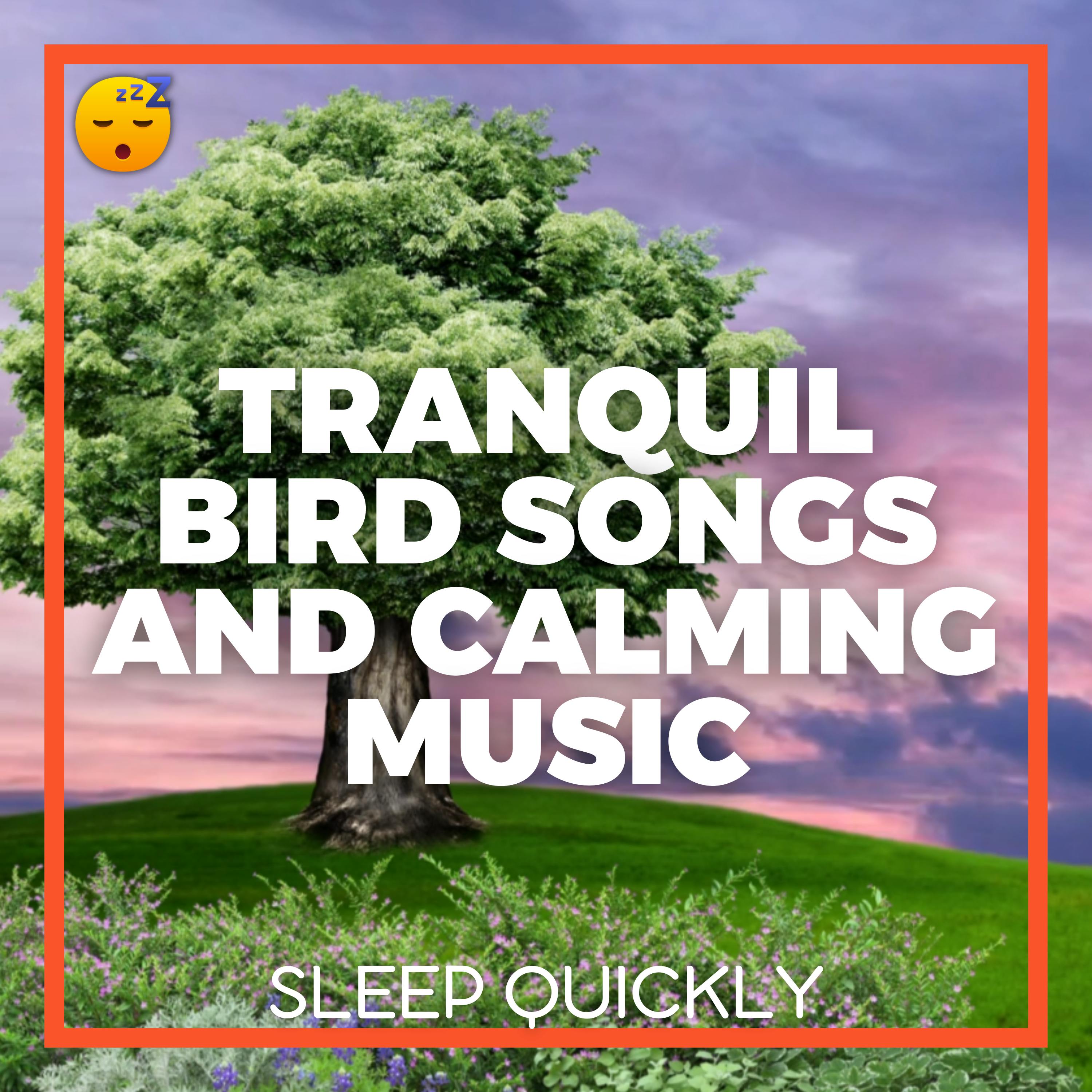 😴🍂🎵 Tranquil BIRD SONGS and Calming MUSIC for Restful SLUMBER episode artwork