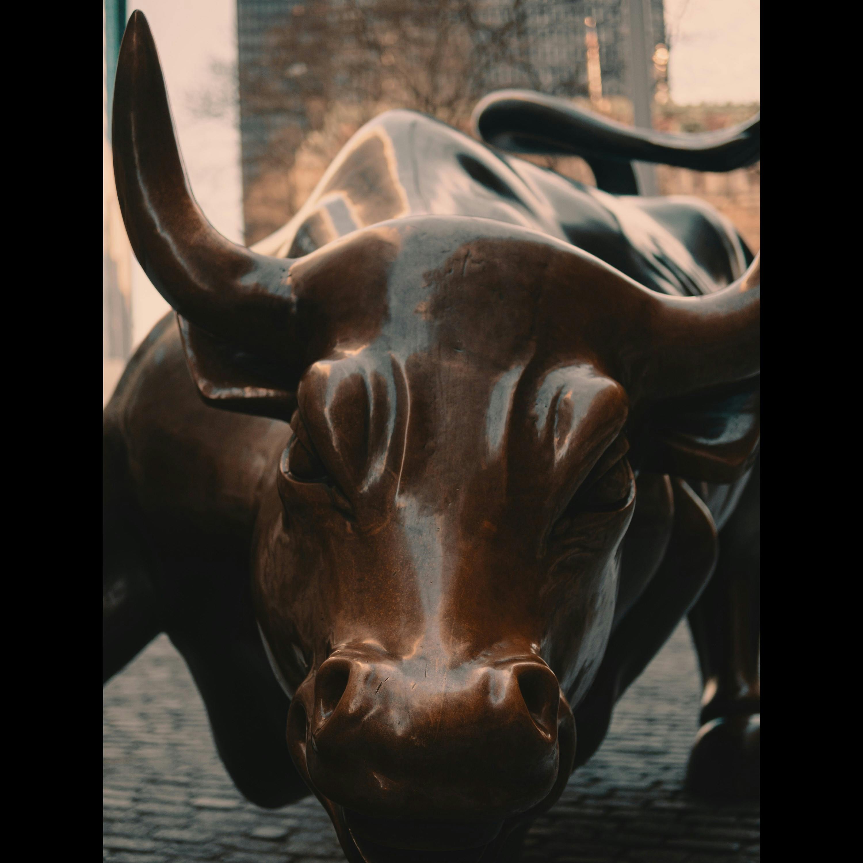 Hrkn to .. The History of Booms, Busts and Bubbles