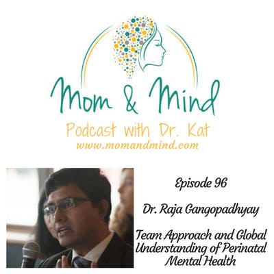 96: Team Approach and Global Understanding of Perinatal Mental Health