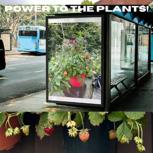 Power to the Plants! Power to the Plants!