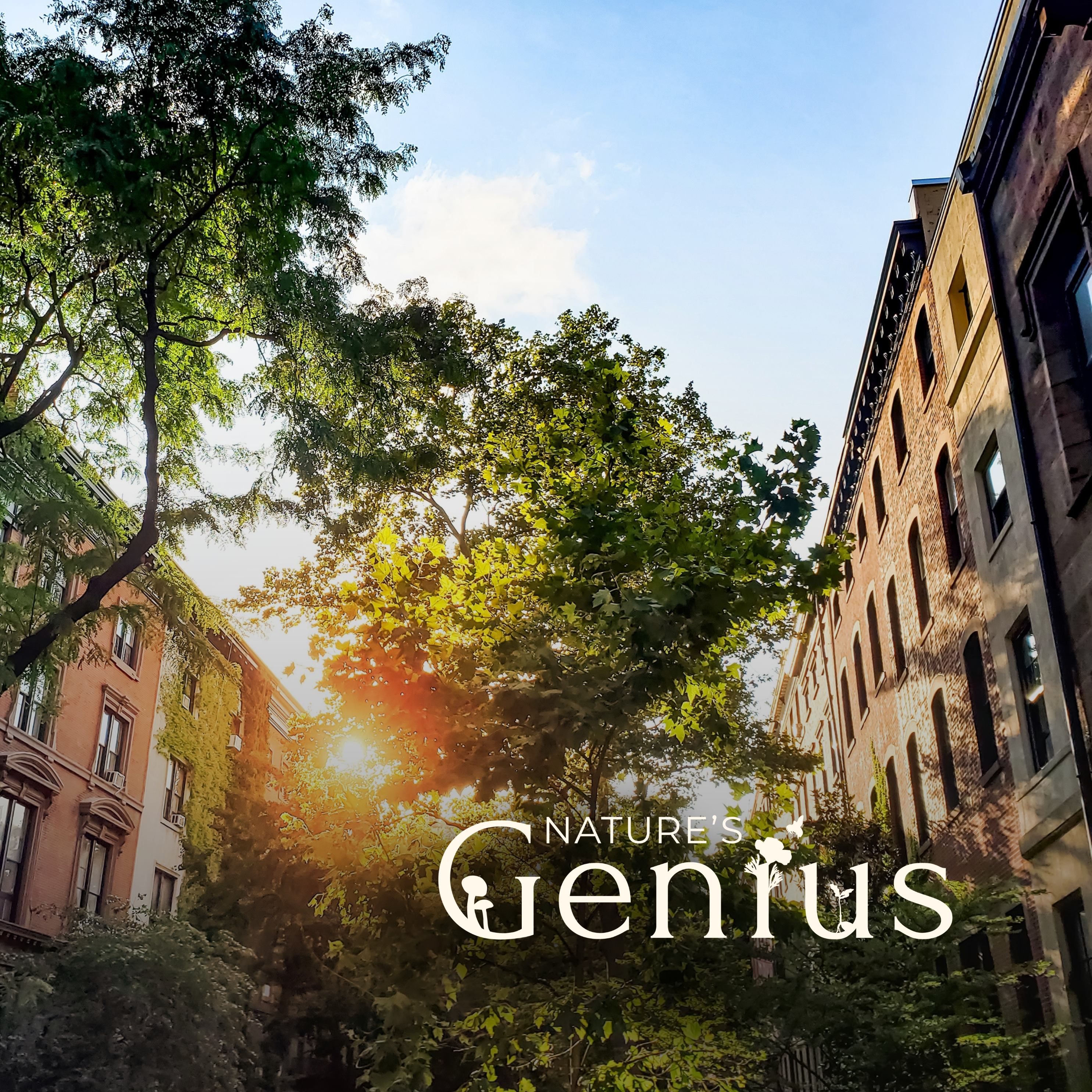 Urban Forests:  A Nature-Based Solution to Climate Breakdown and Inequality