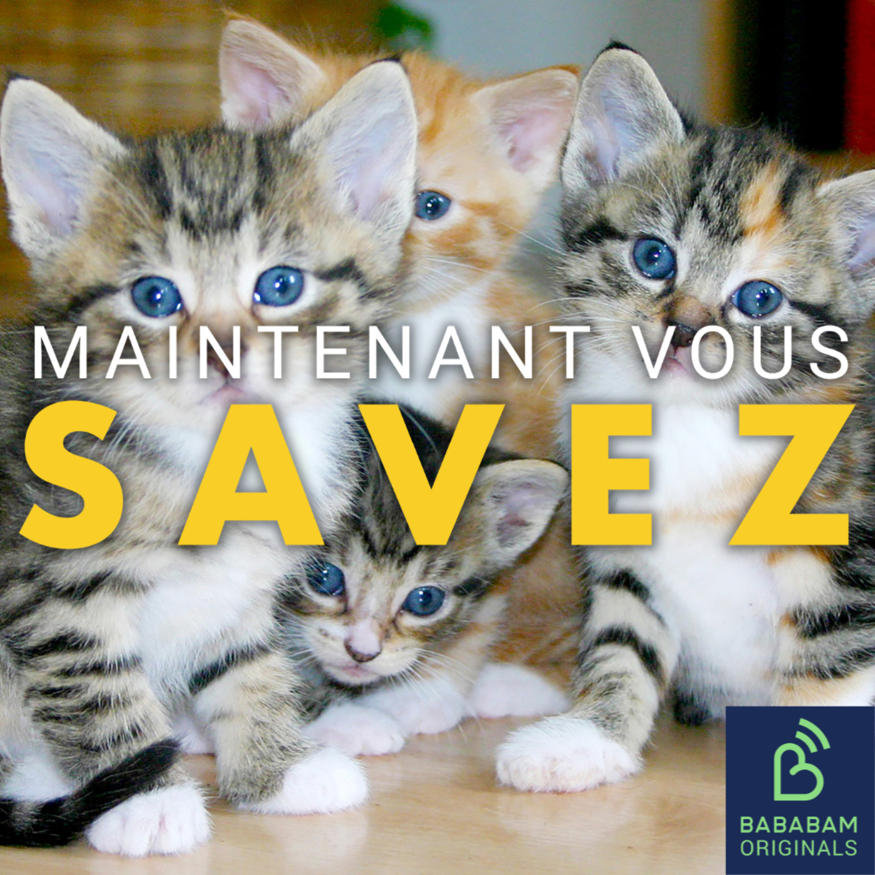 Qu’est-ce que le syndrome de Noé, cette étrange pathologie dangereuse pour les animaux ?