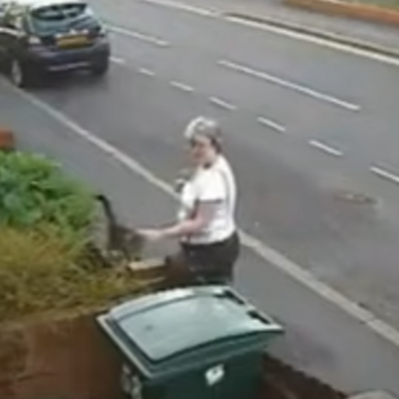 Cat Bin Lady, Internet Villain