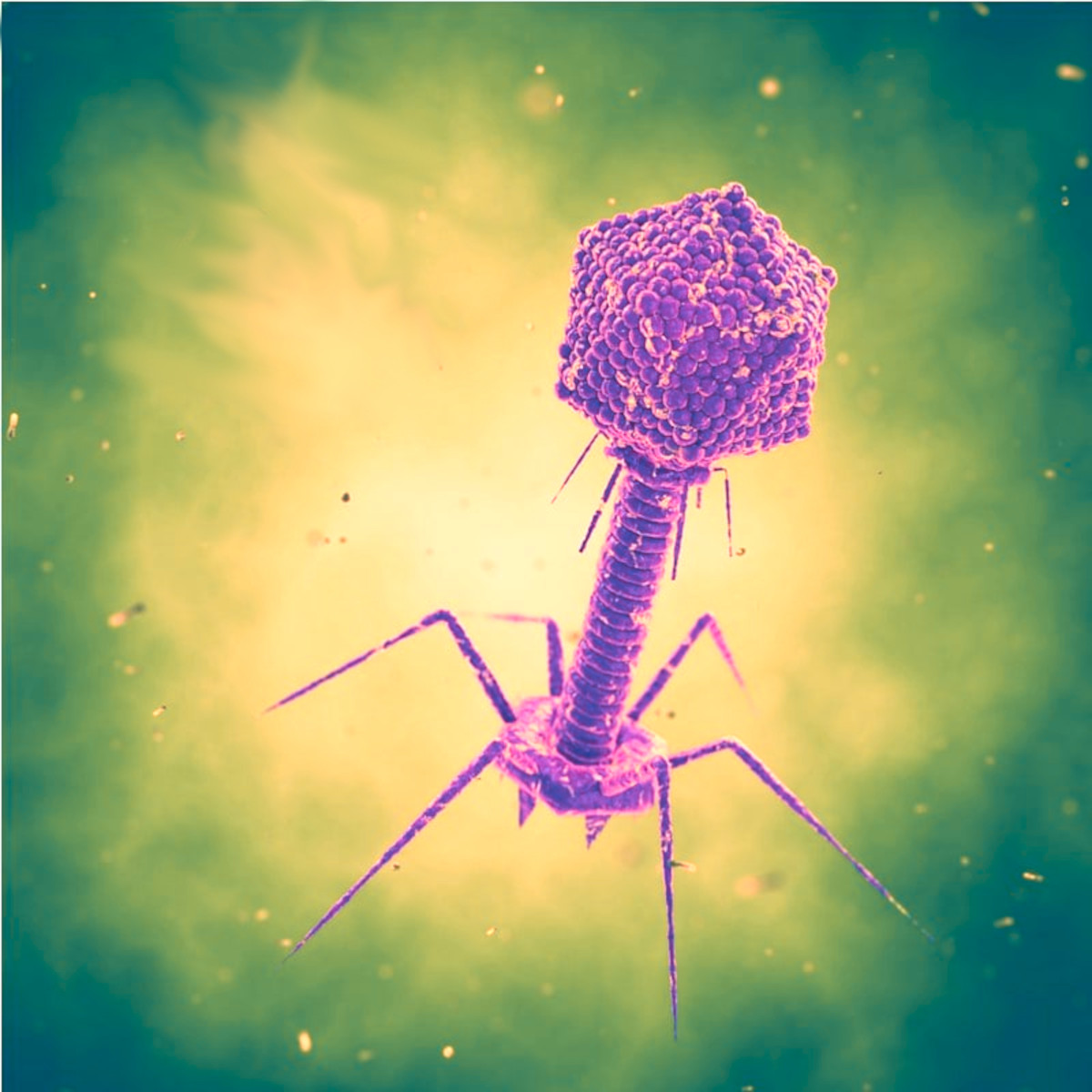 Not Just a Phage