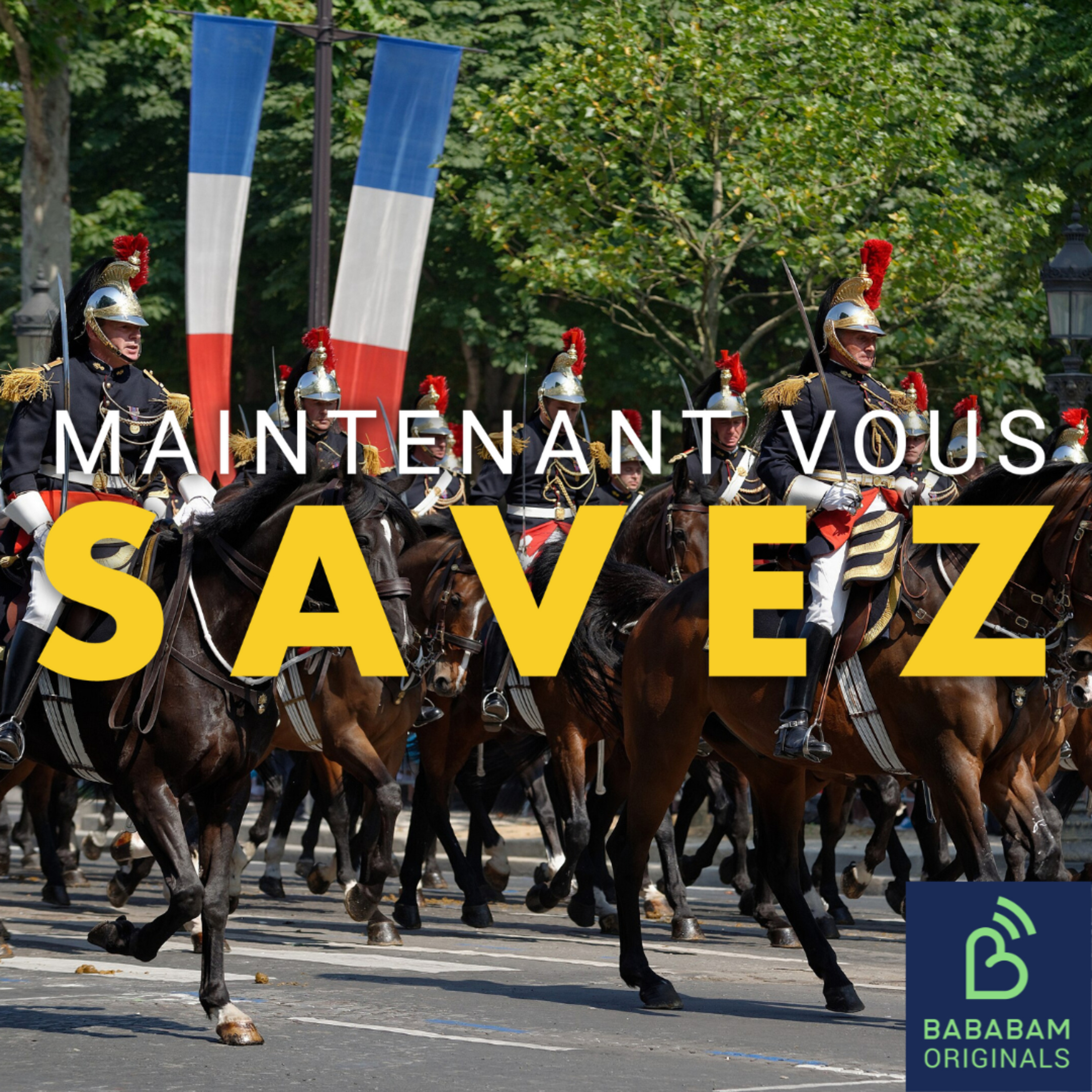 Pourquoi le service militaire obligatoire a-t-il disparu en France ?