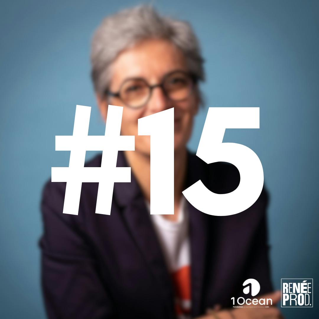 Plongeon avec les dauphins Plongeon avec les dauphins