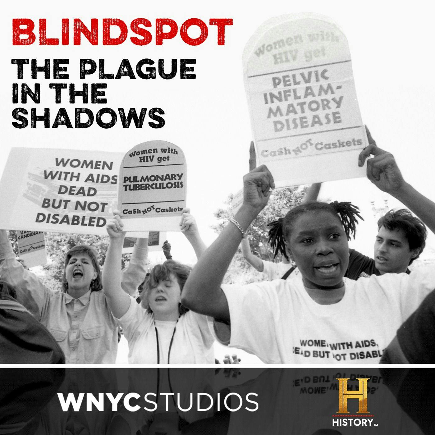Guest Episode: Blindspot: The Plague in the Shadows: Mourning in America