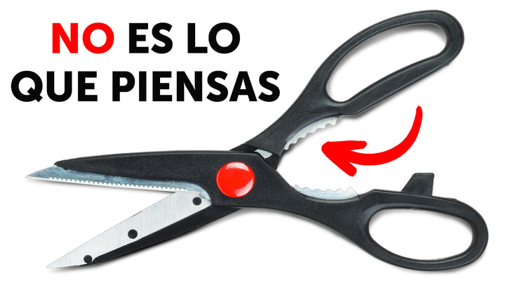 Portada de GENIAL