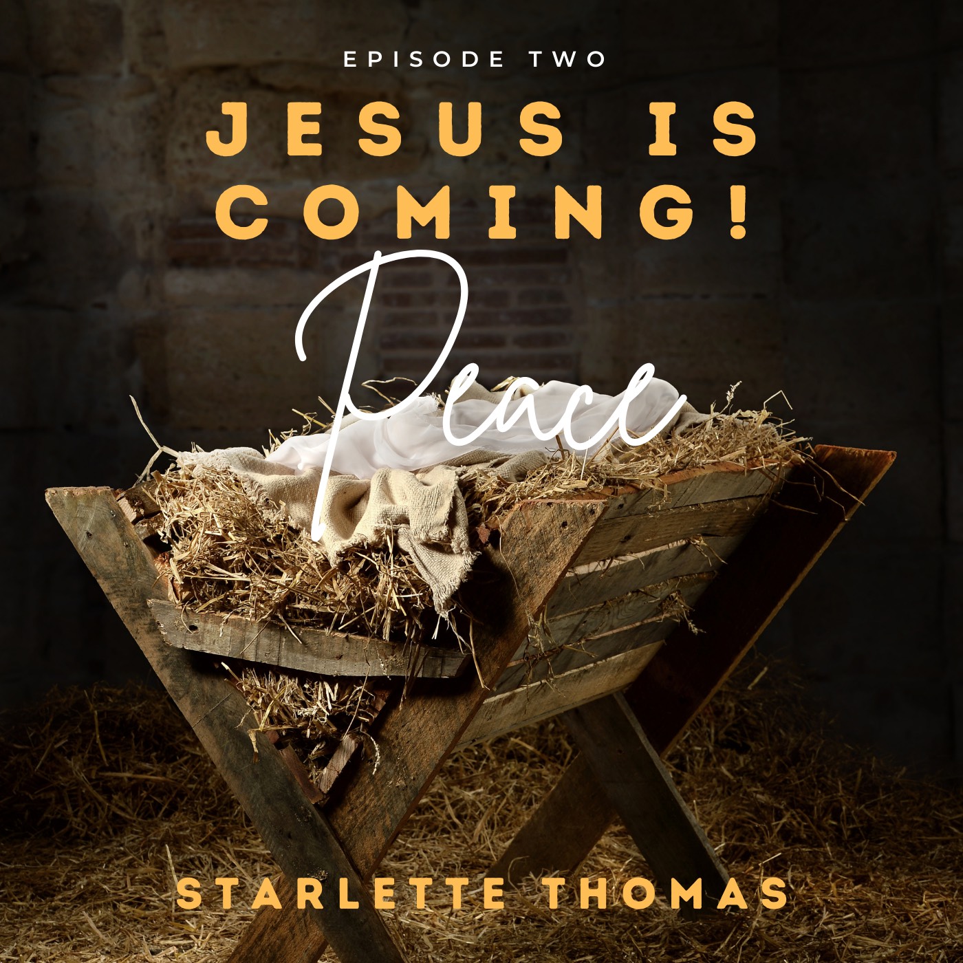 The Raceless Gospel Podcast