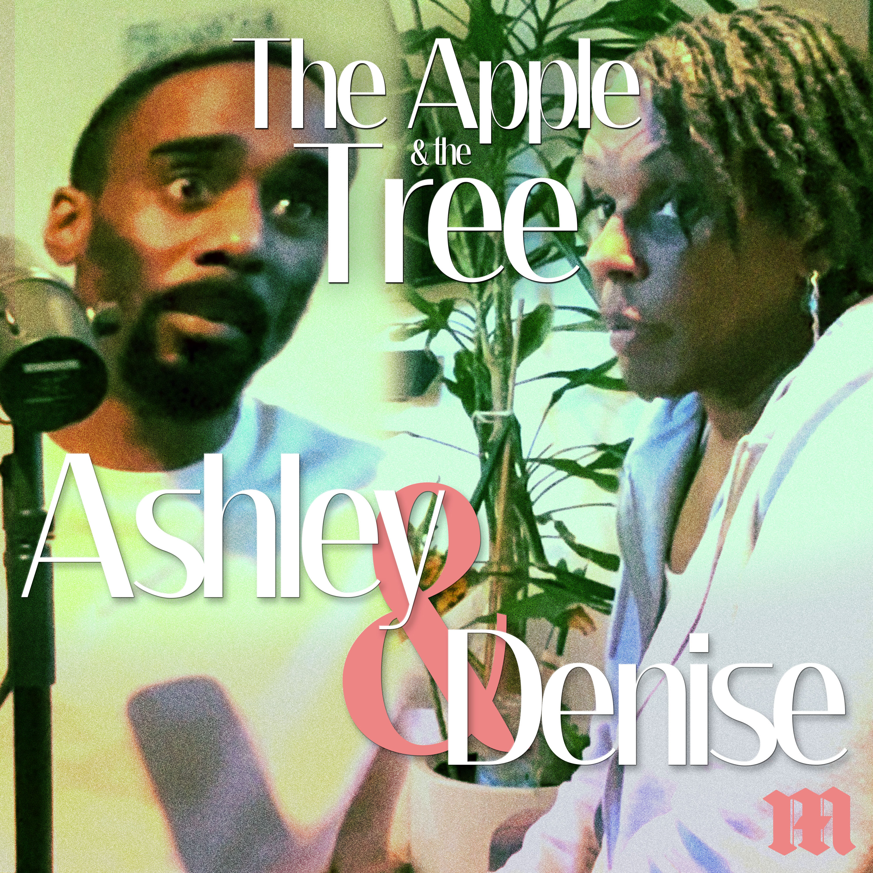 The Apple & The Tree