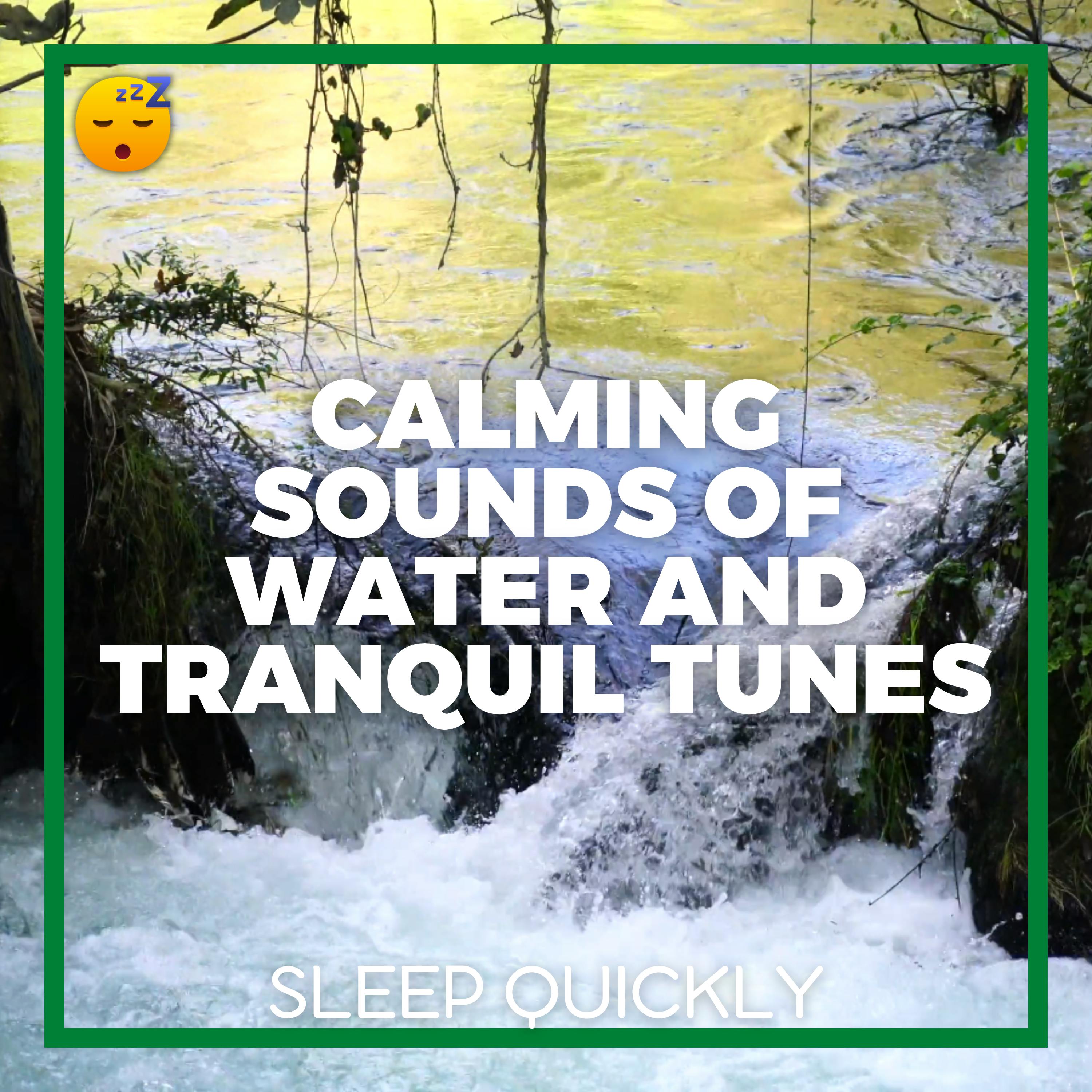 😴💧🎵 Calming Sounds of WATER and Tranquil TUNES to Drift into DREAMLAND episode artwork
