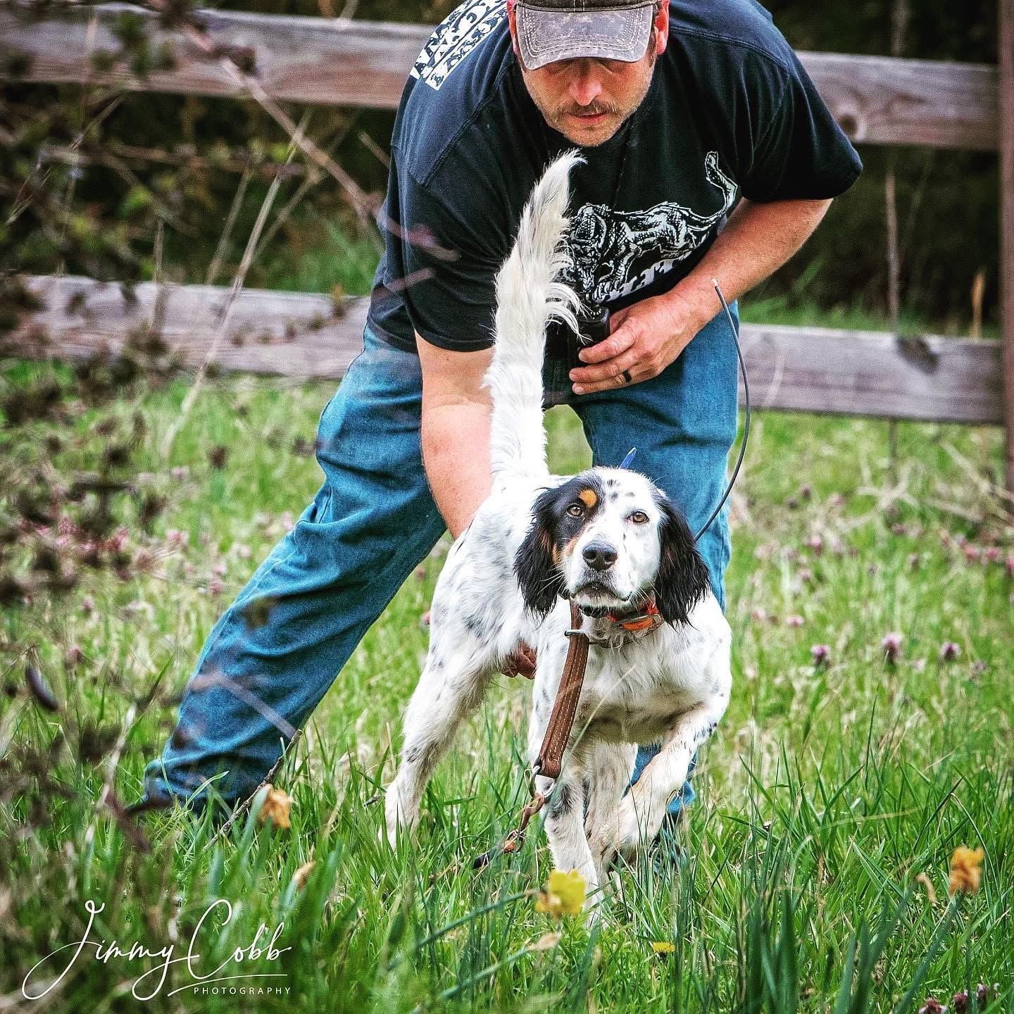 Companion Gundog Podcast
