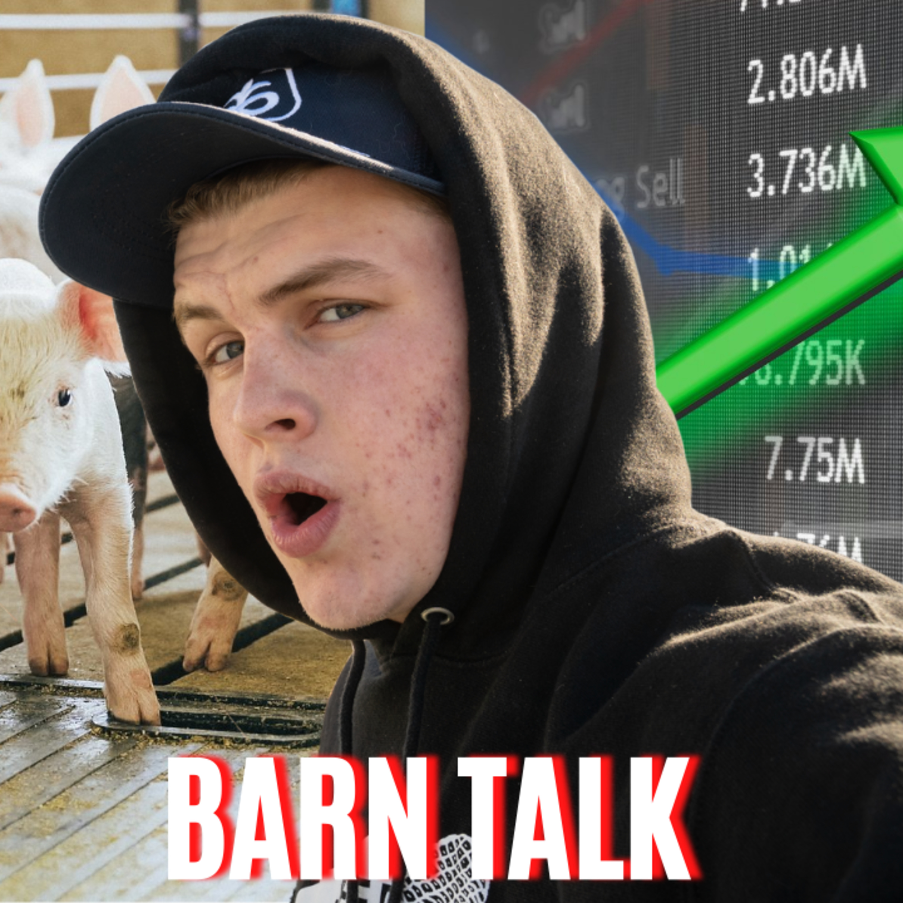 Barn Talk Q&A: How Much Money Do Hog Farmers Make, Best Investing Platform For Stocks, Farm & Brand Goals