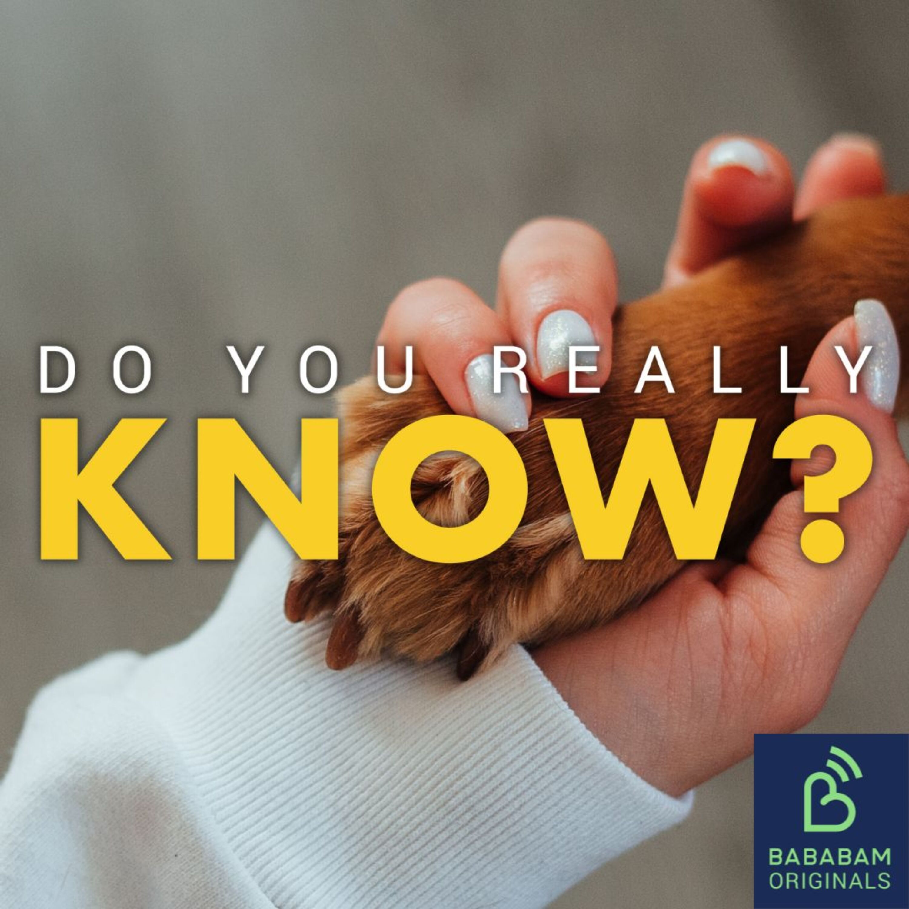 Why do dogs often look like their owners?