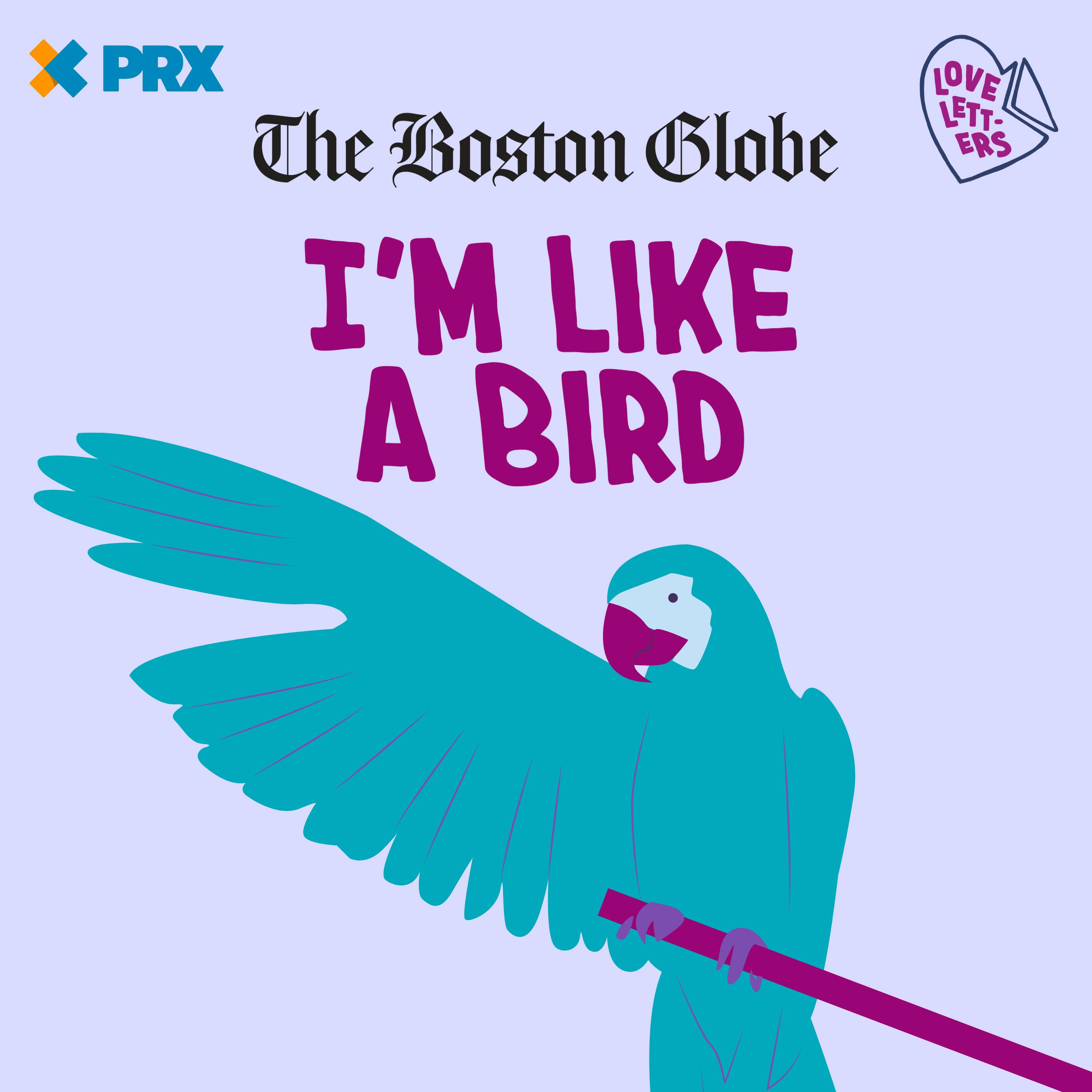 S9E9: I'm Like a Bird S9E9: I'm Like a Bird