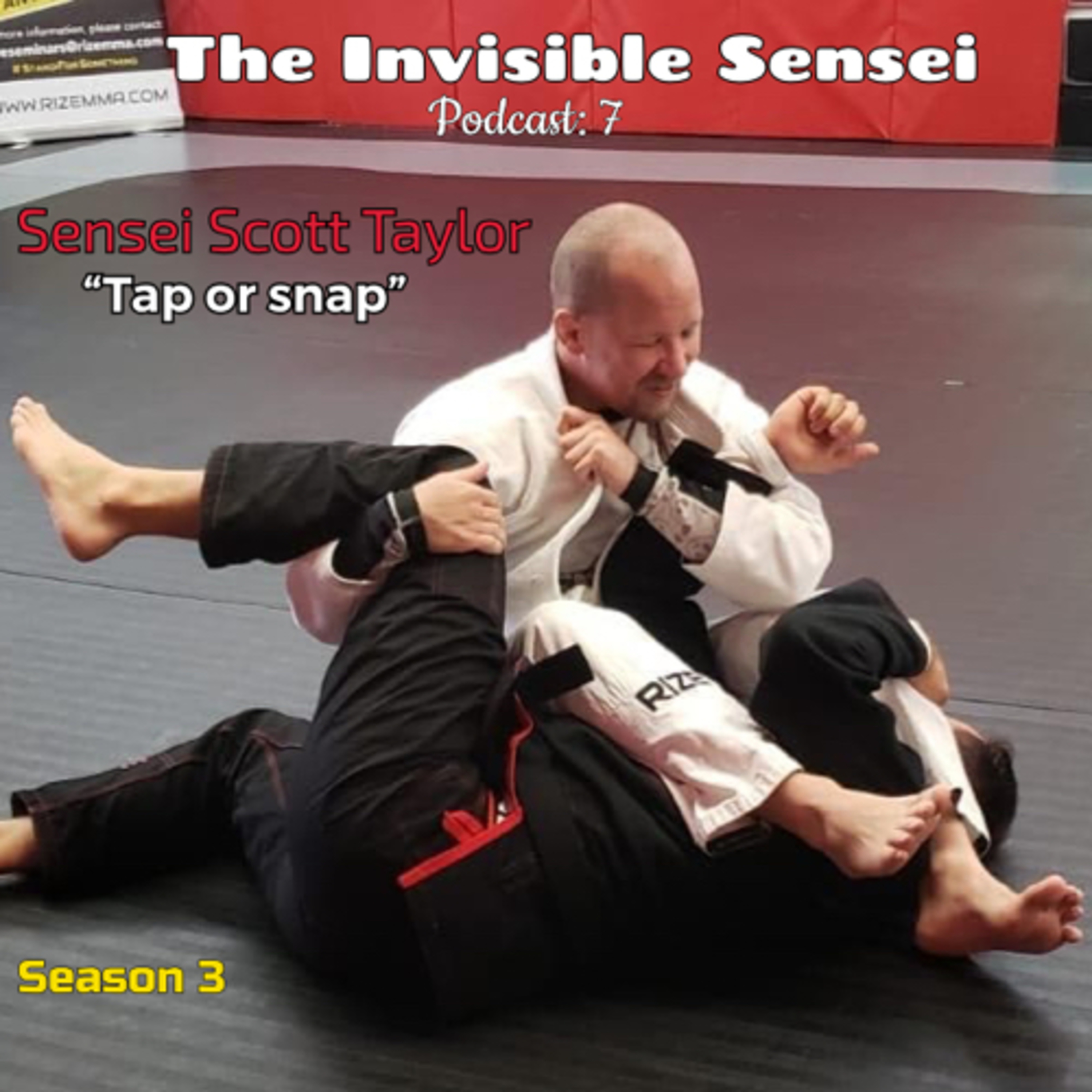 The Invisible Sensei