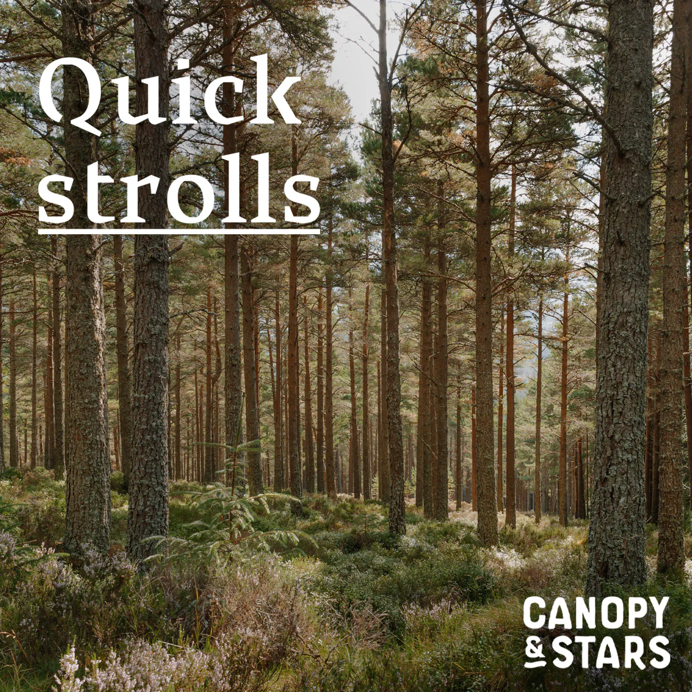 Quick Strolls: Slowing Down episode artwork
