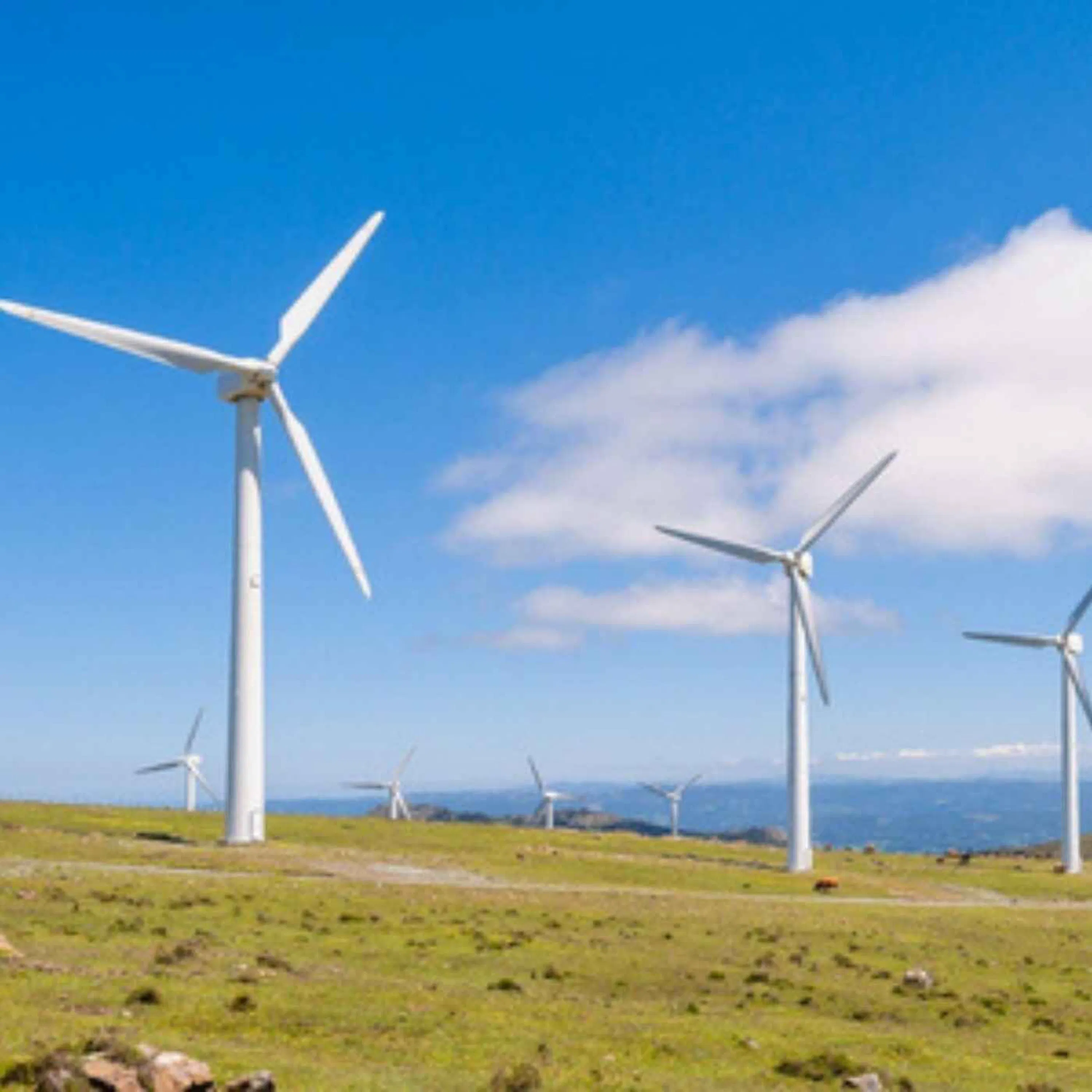 Qu’est-ce que le syndrome éolien ?