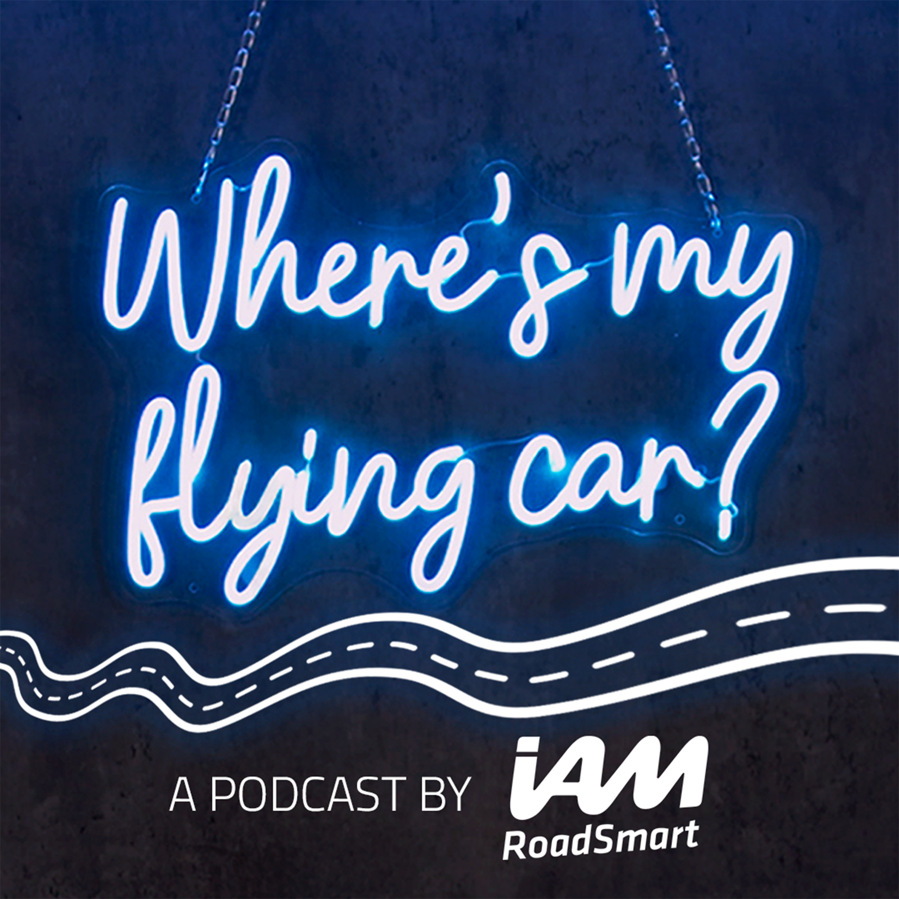 Where\'s My Flying Car?