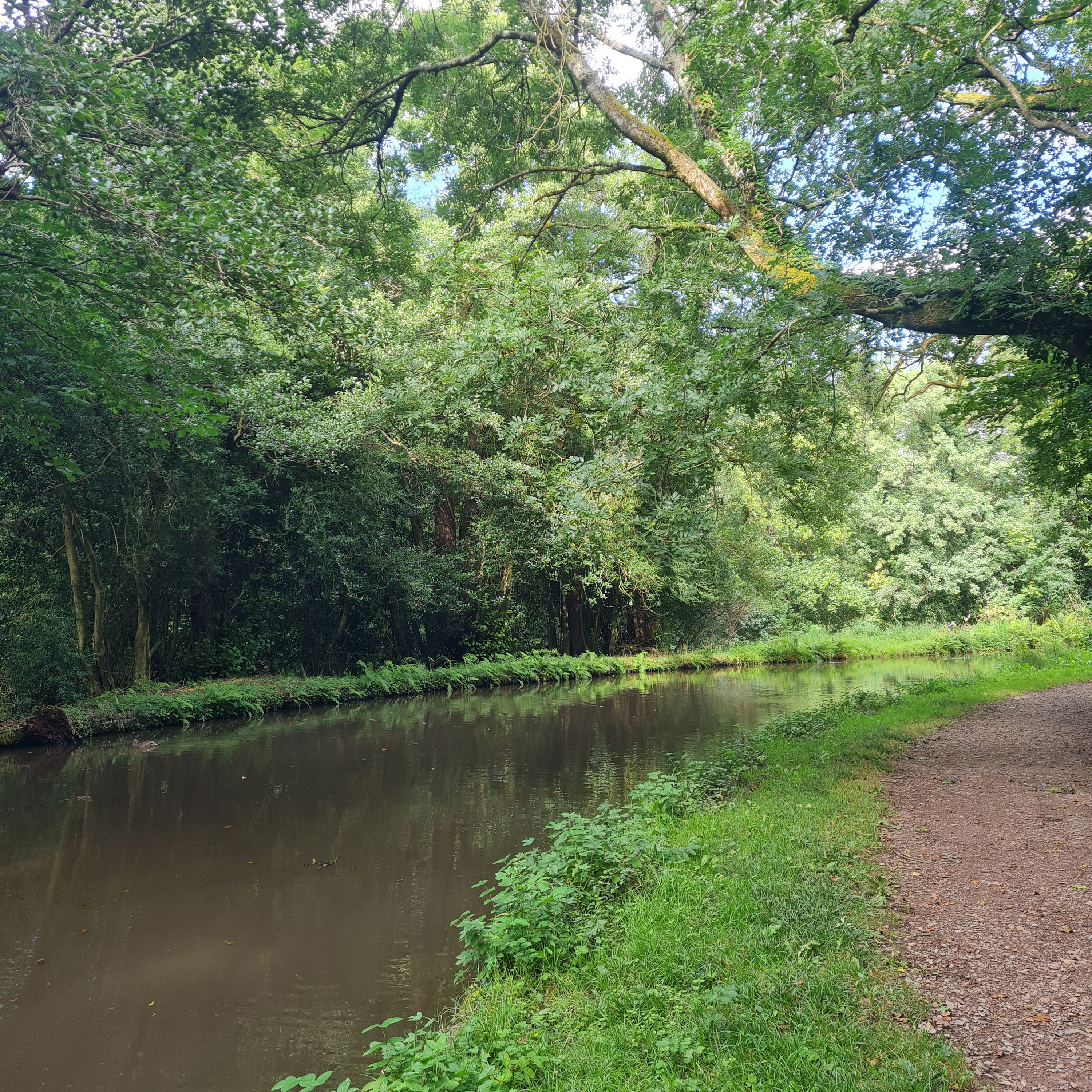 Sound Escape 188. Sitting by the banks of a canal