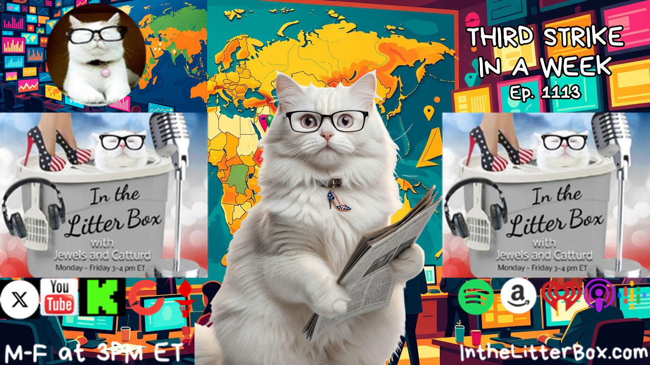 THIRD STRIKE IN A WEEK | In the Litter Box w/ Jewels & Catturd – Ep. 1113 – 10/12/2026 episode artwork
